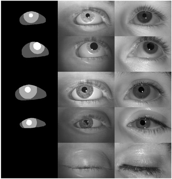 Applsci 14 09586 g0a3