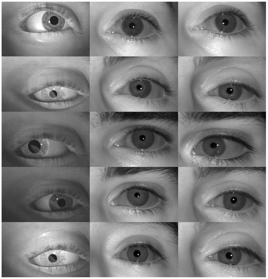 Applsci 14 09586 g0a5