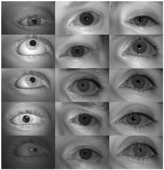 Applsci 14 09586 g0a6