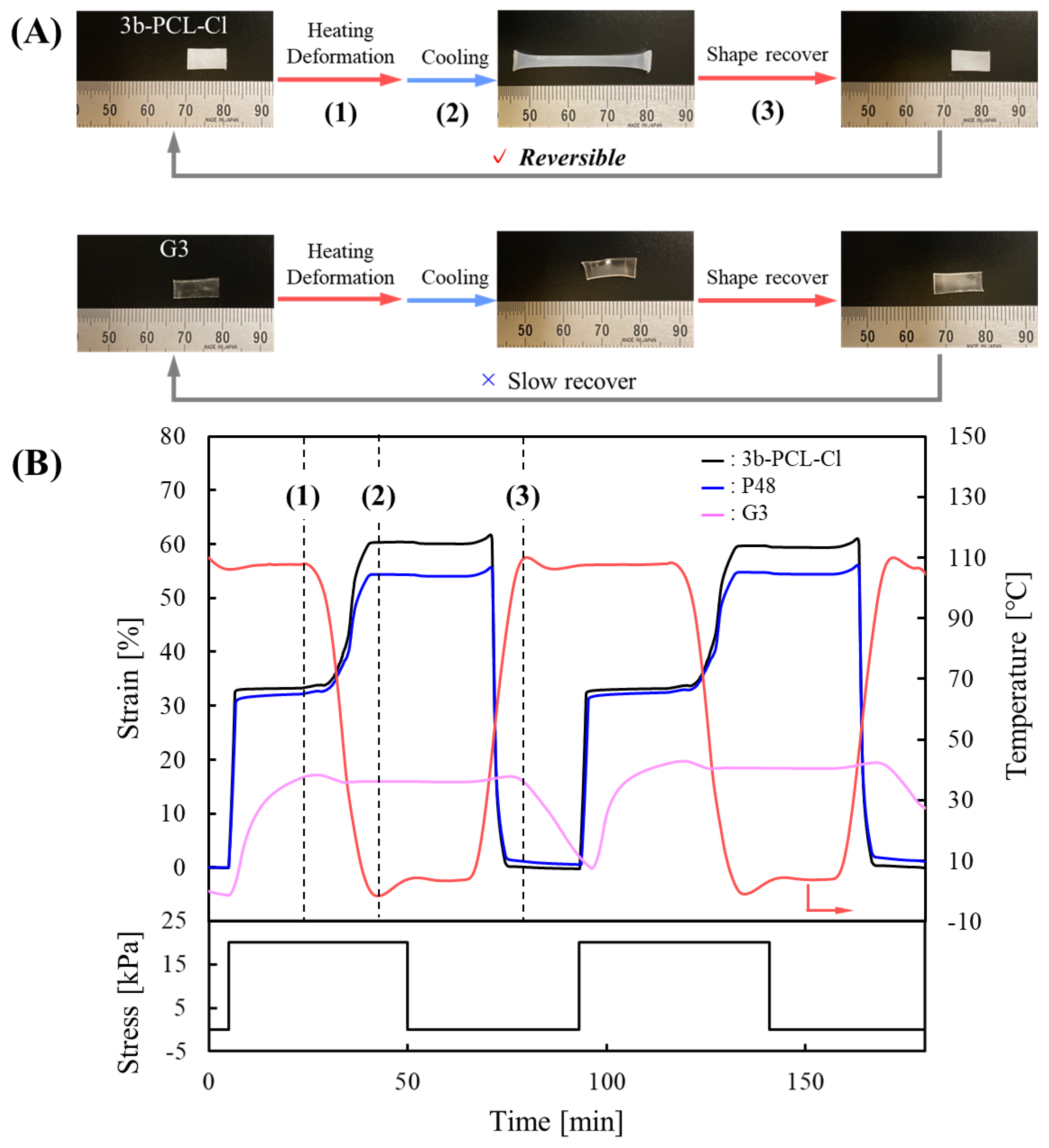 Applsci 14 09619 g008