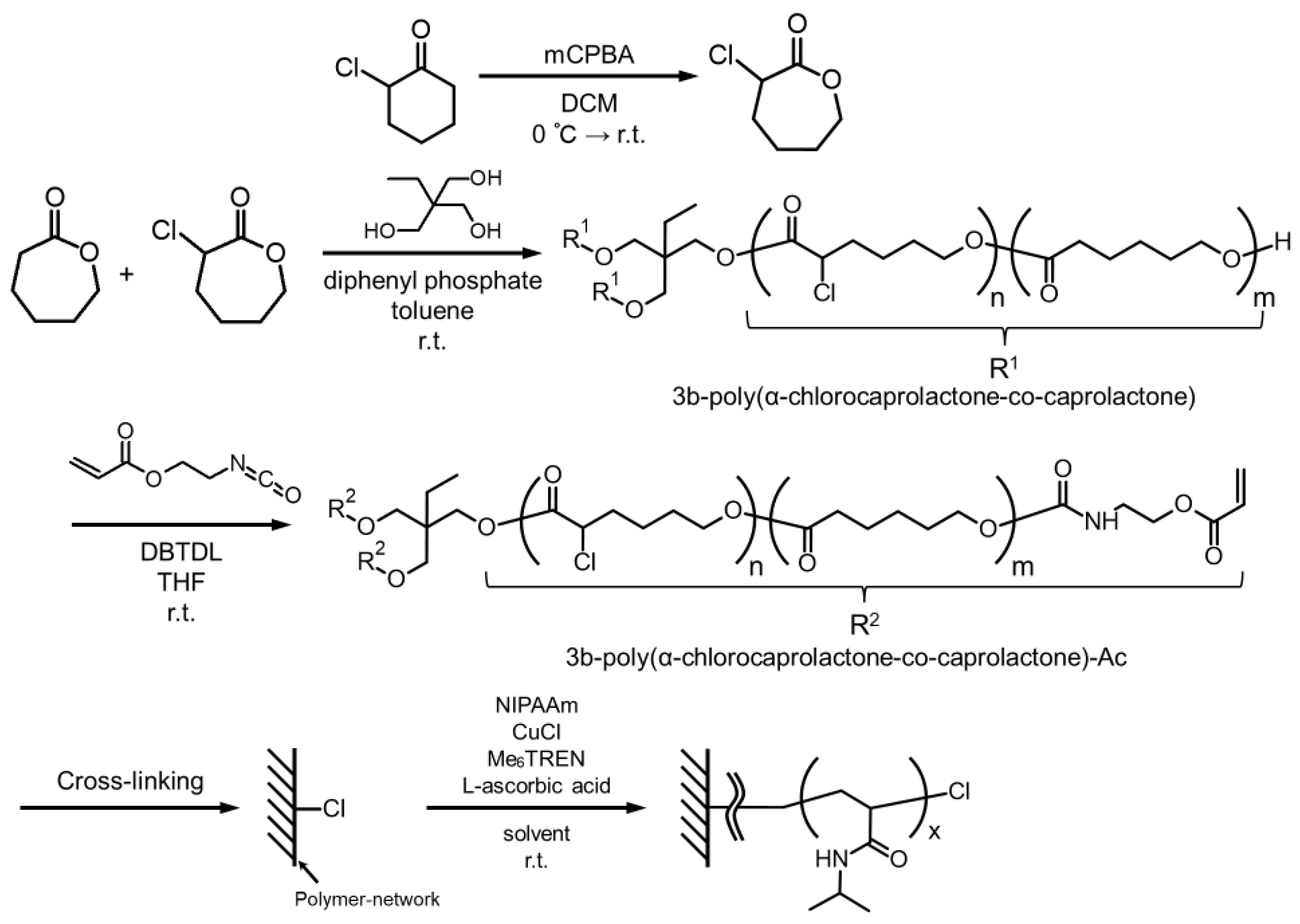 Applsci 14 09619 sch001
