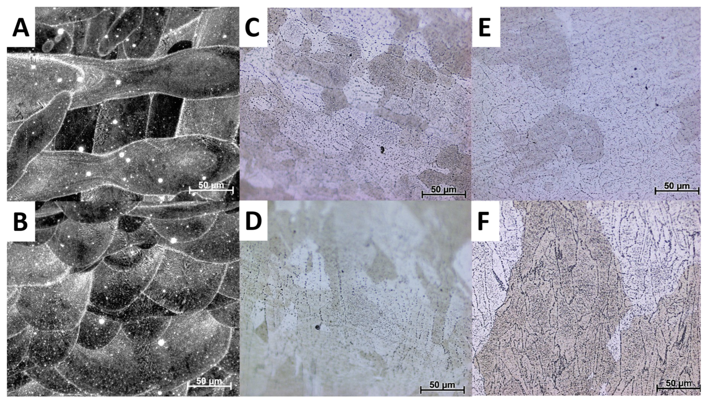 Applsci 14 09625 g006