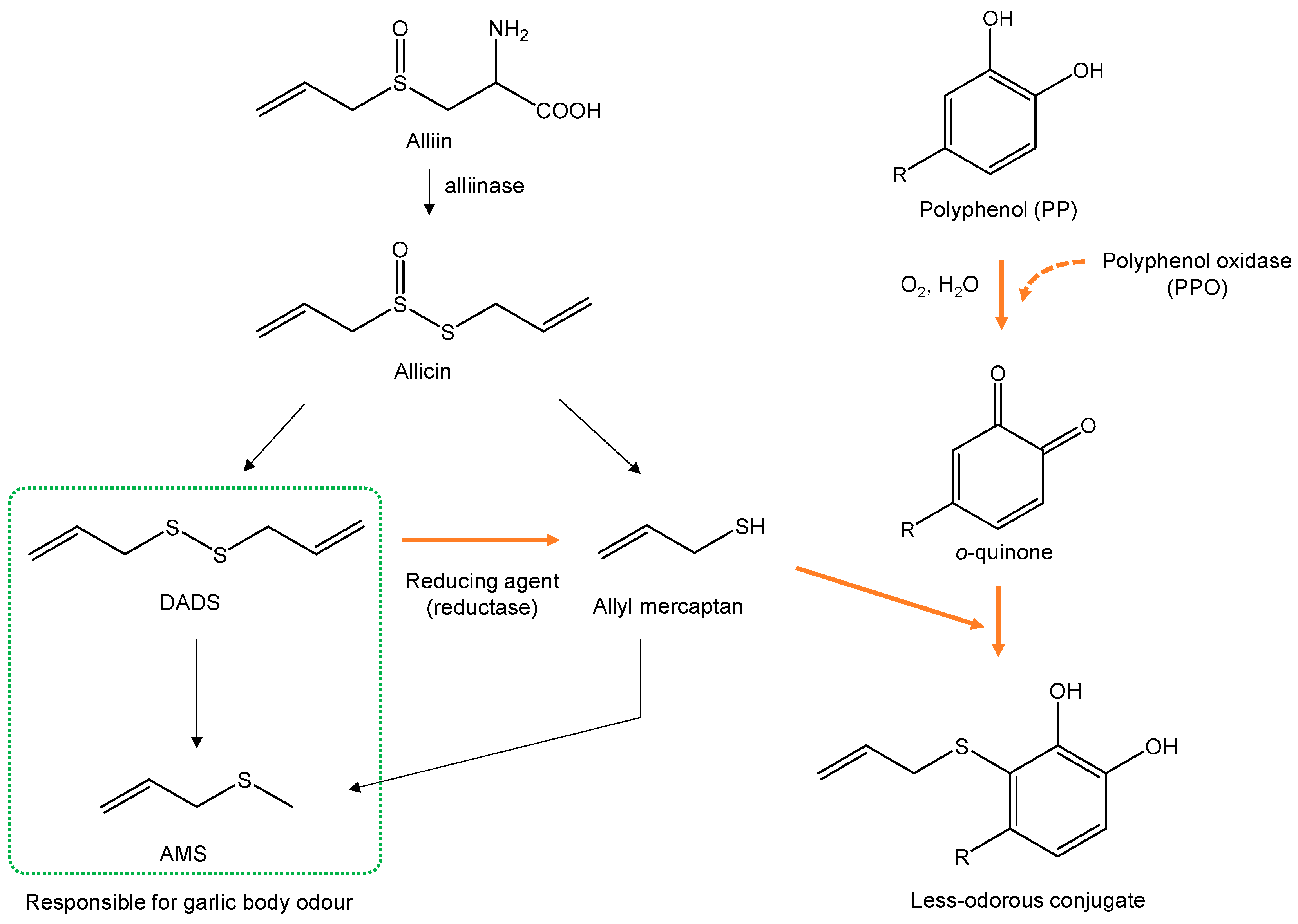 Applsci 14 09631 g006