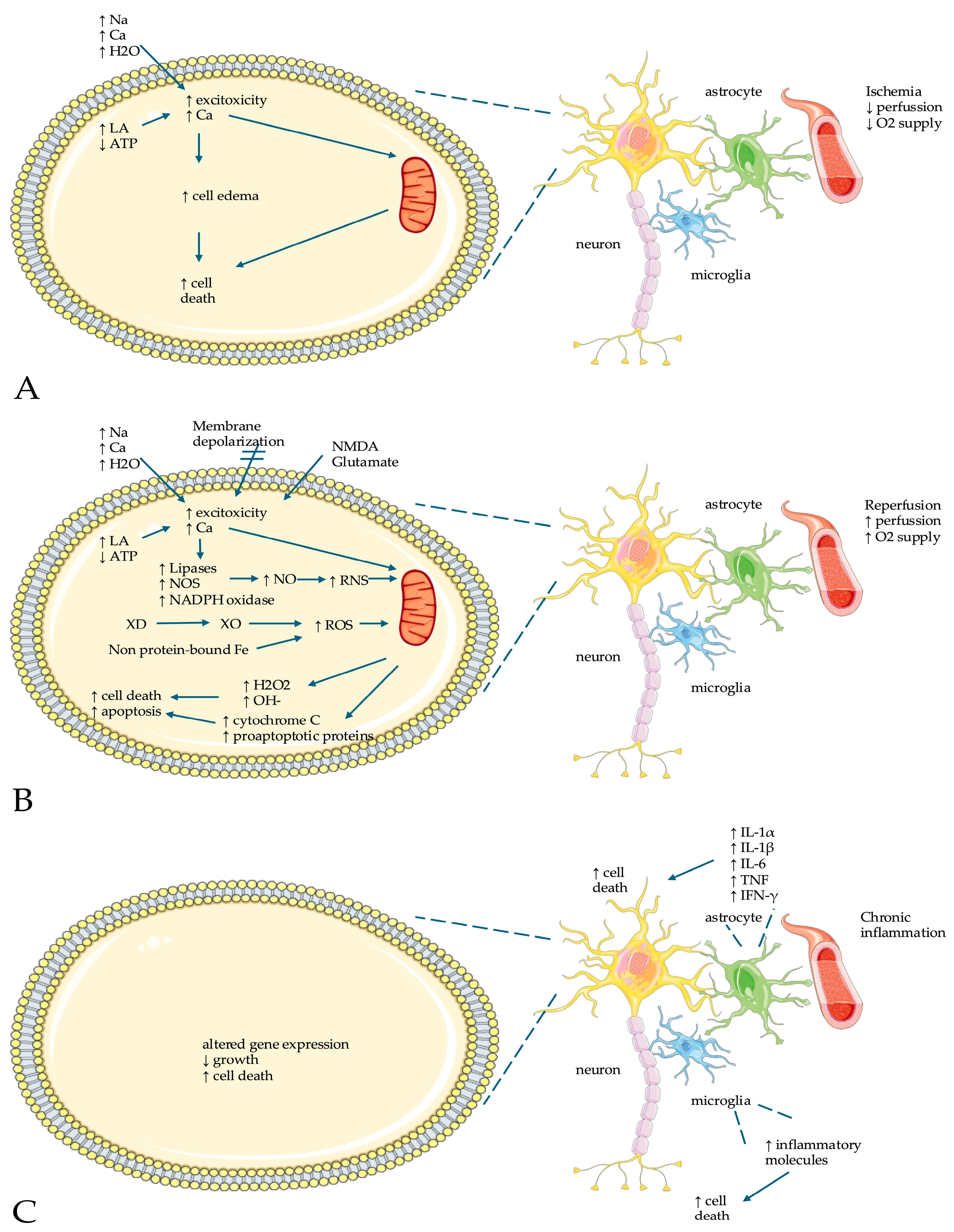 Applsci 14 09651 g002