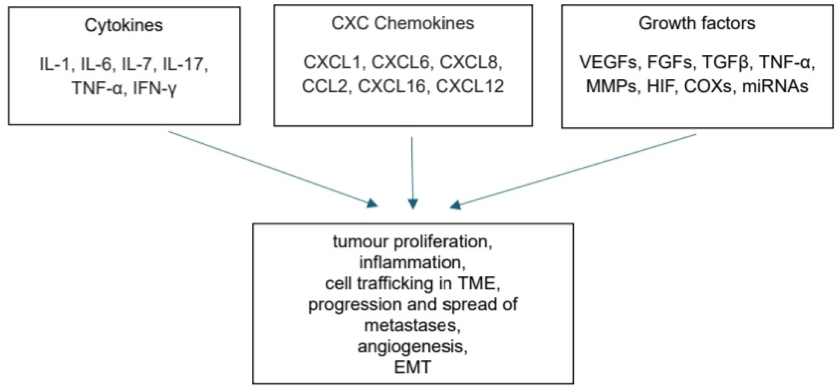 Applsci 14 09655 g001 Applsci 14 09655 g001