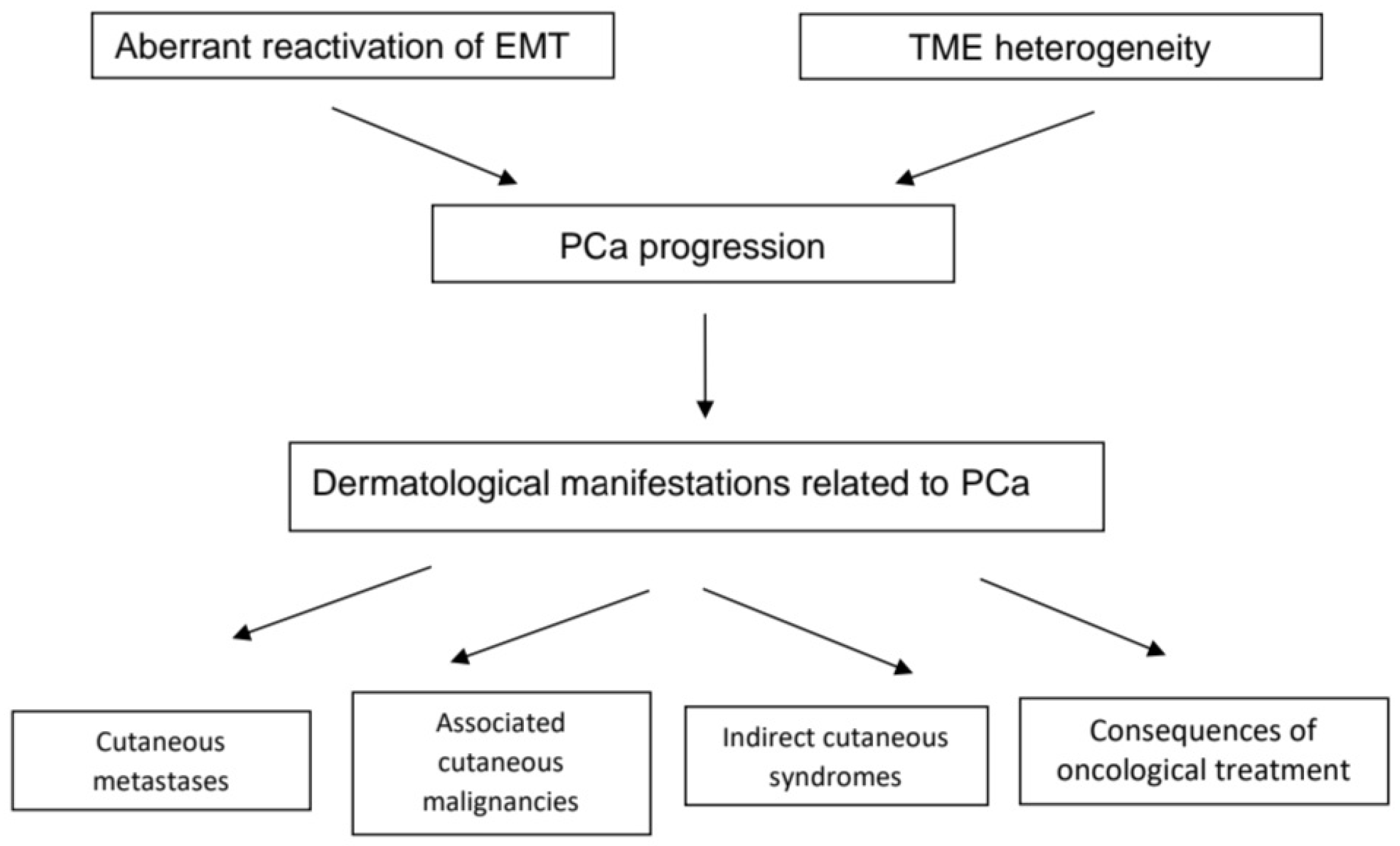 Applsci 14 09655 g002 Applsci 14 09655 g002