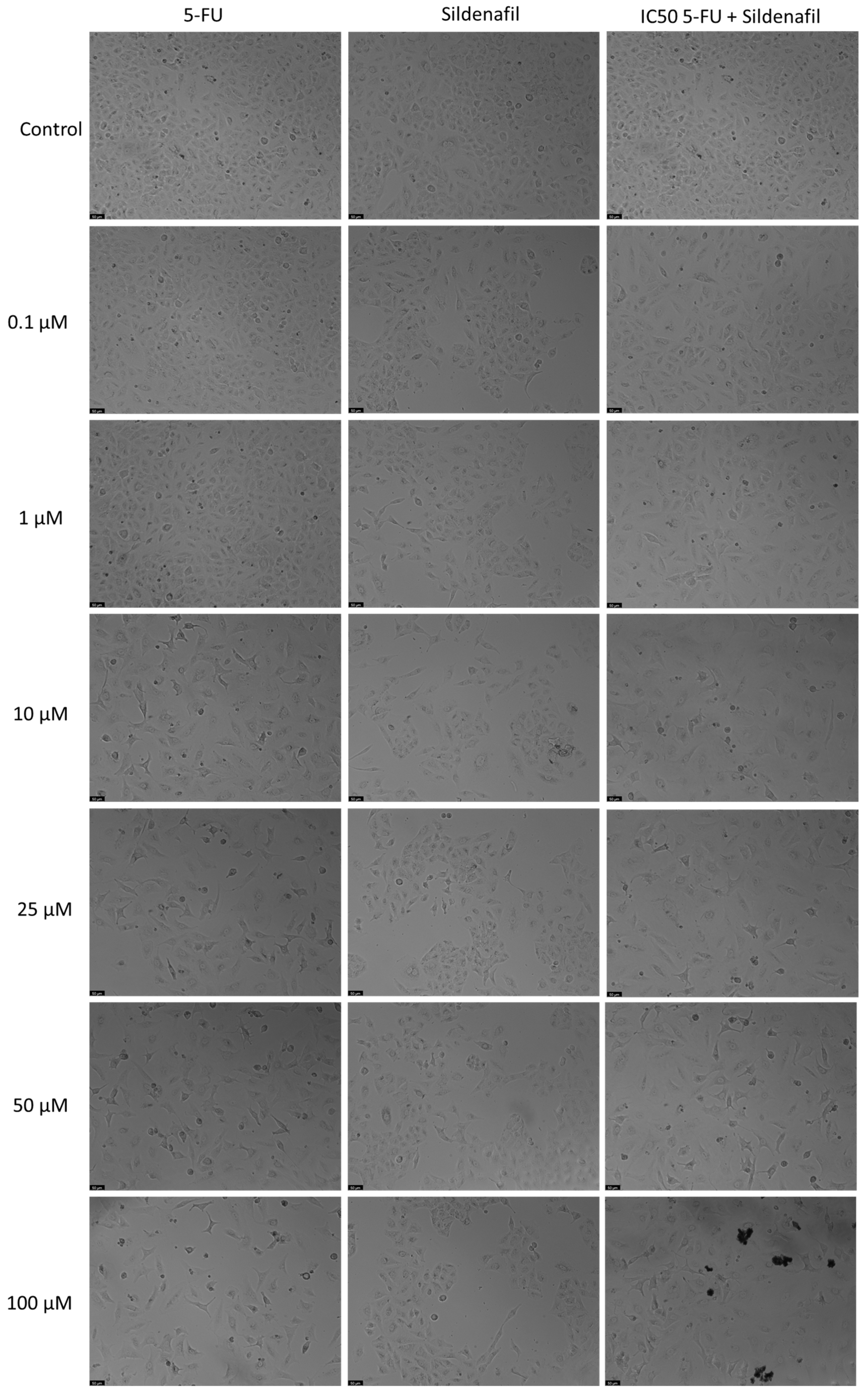 Applsci 14 09658 g003