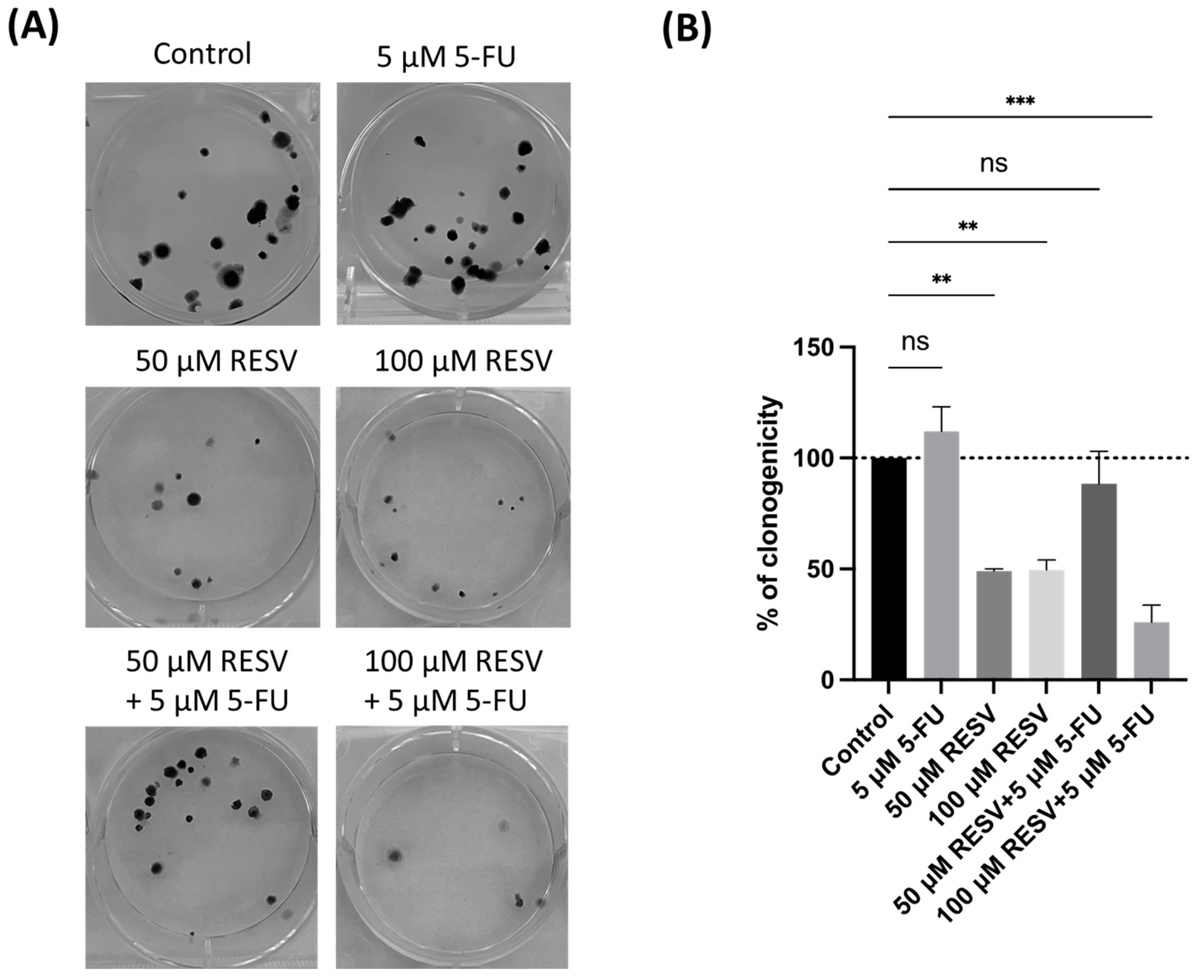 Applsci 14 09658 g014