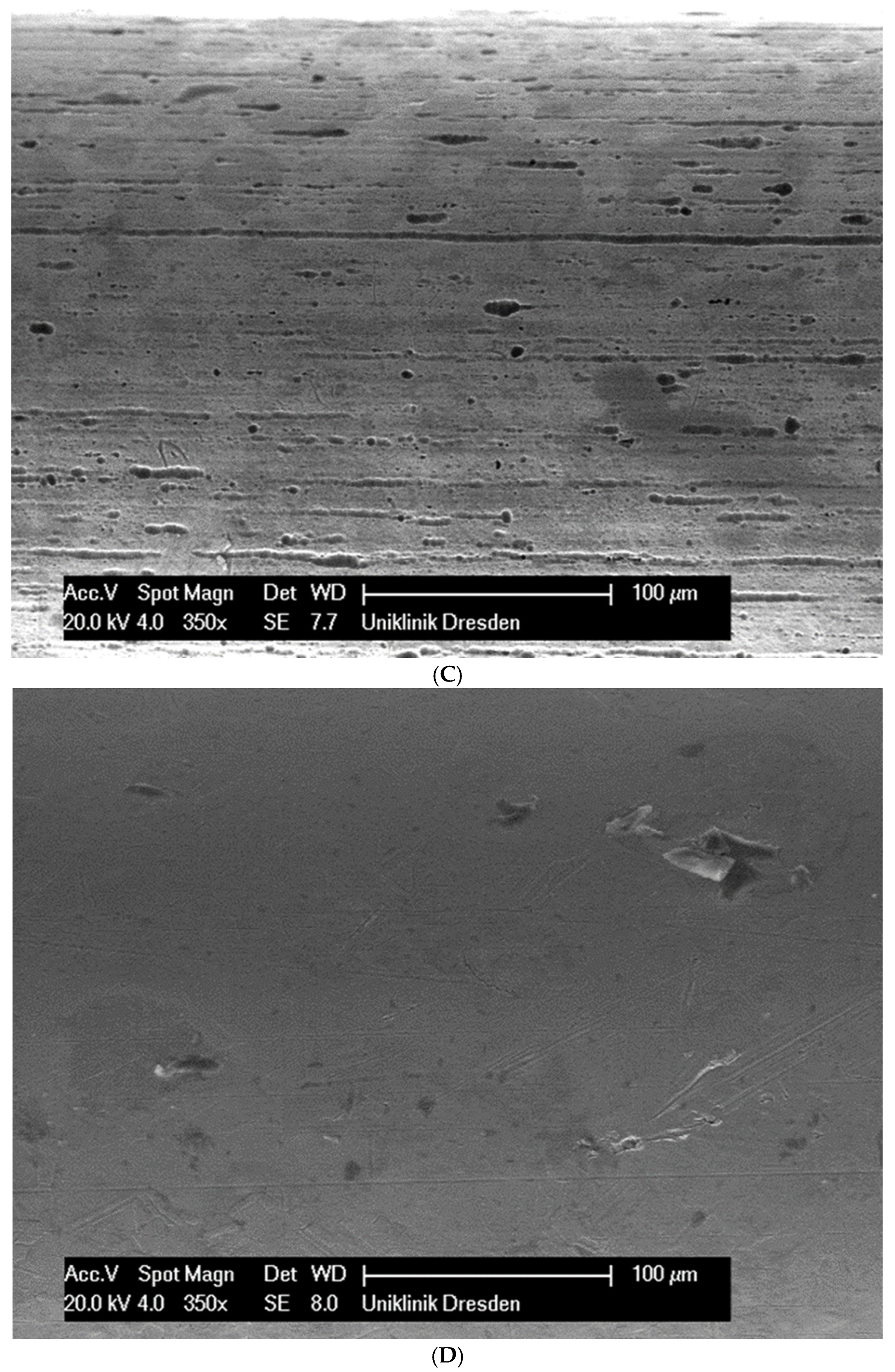 Applsci 14 09679 g001b