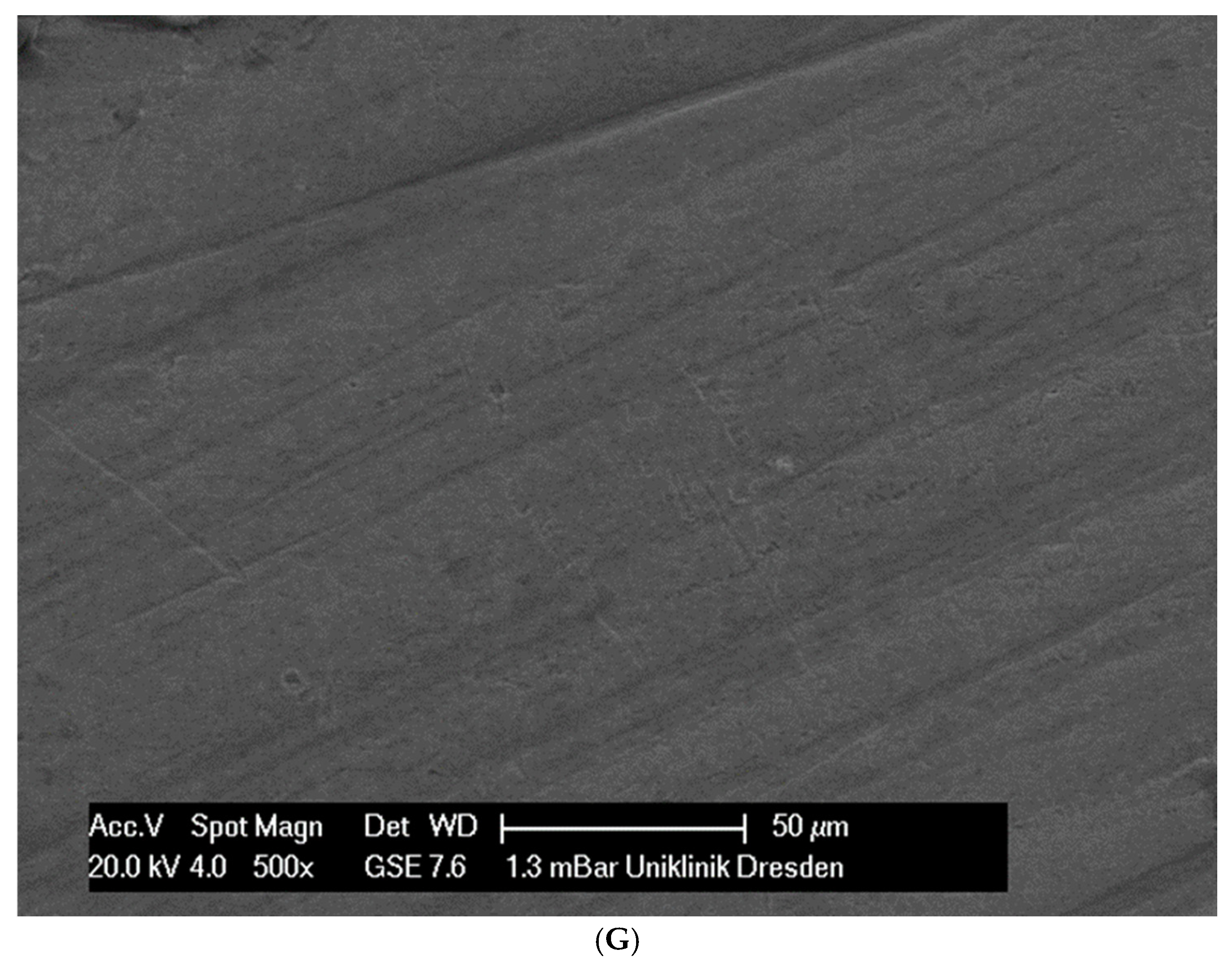 Applsci 14 09679 g001d