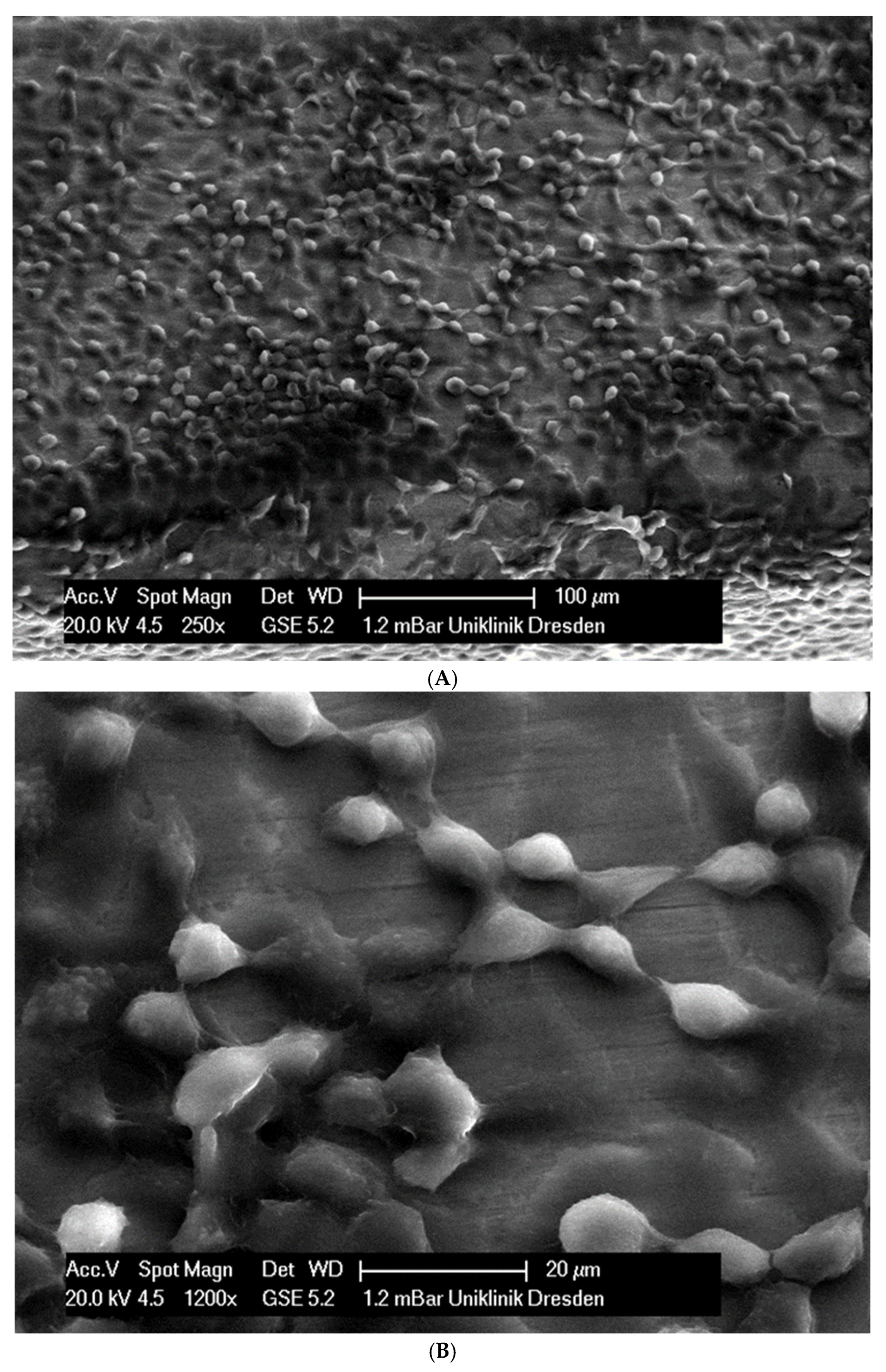 Applsci 14 09679 g002a