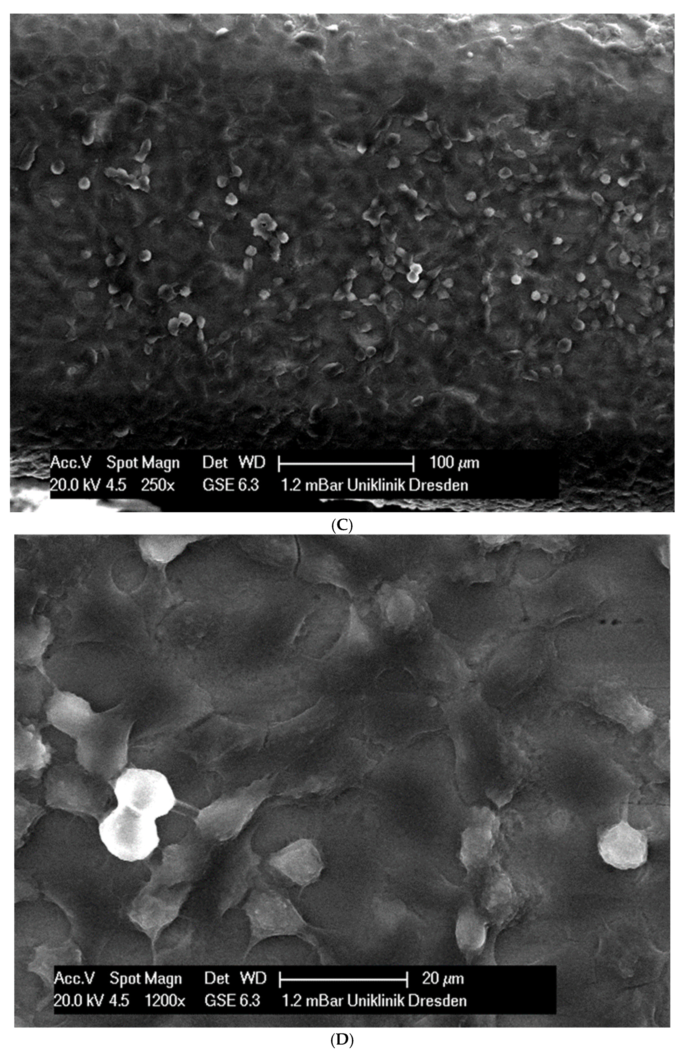 Applsci 14 09679 g002b