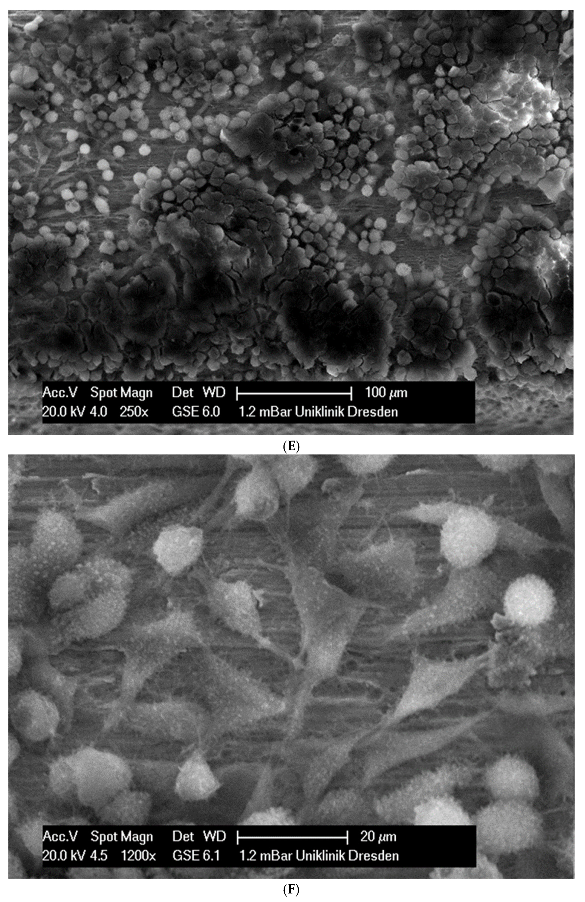 Applsci 14 09679 g002c