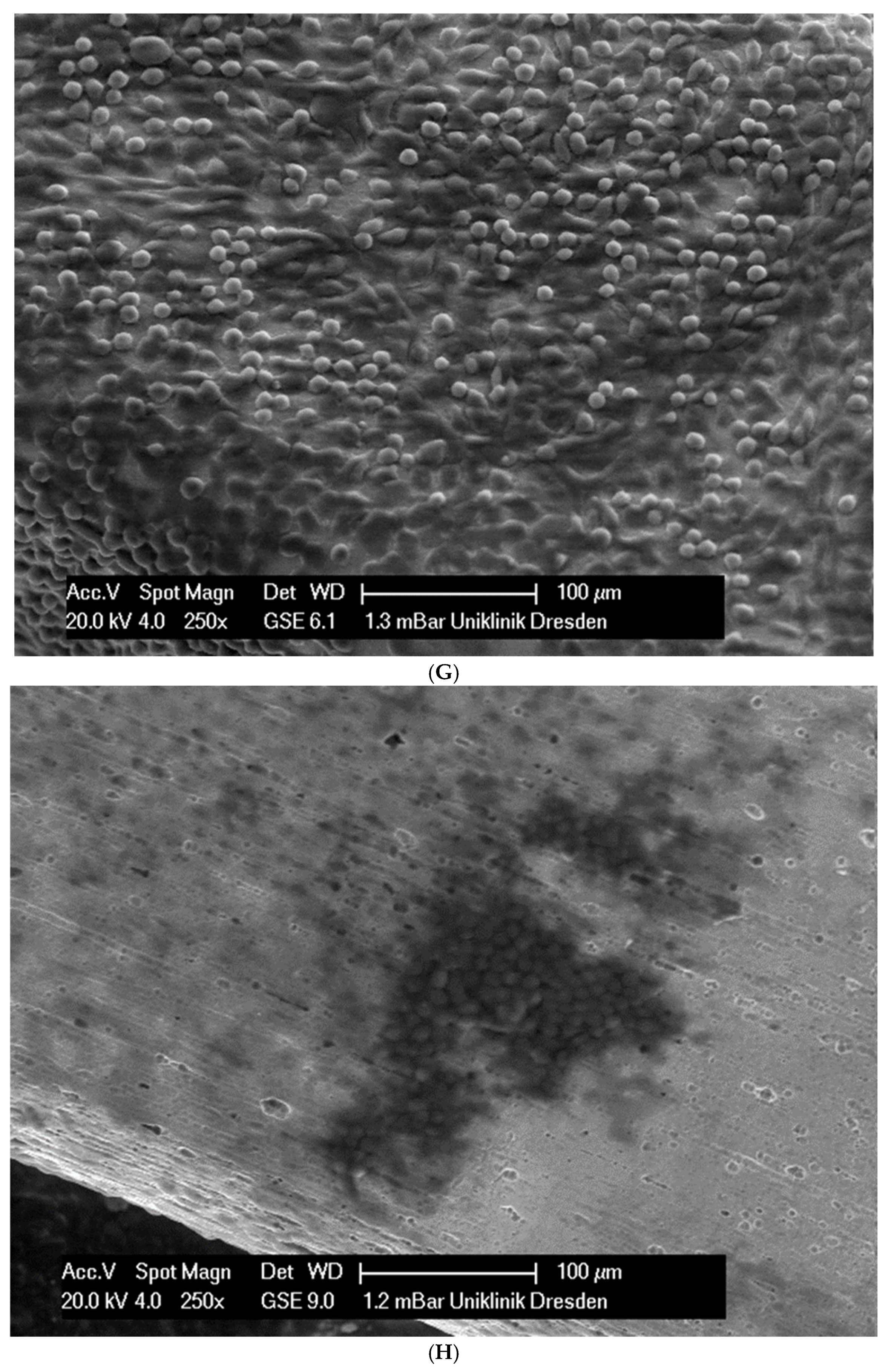 Applsci 14 09679 g002d