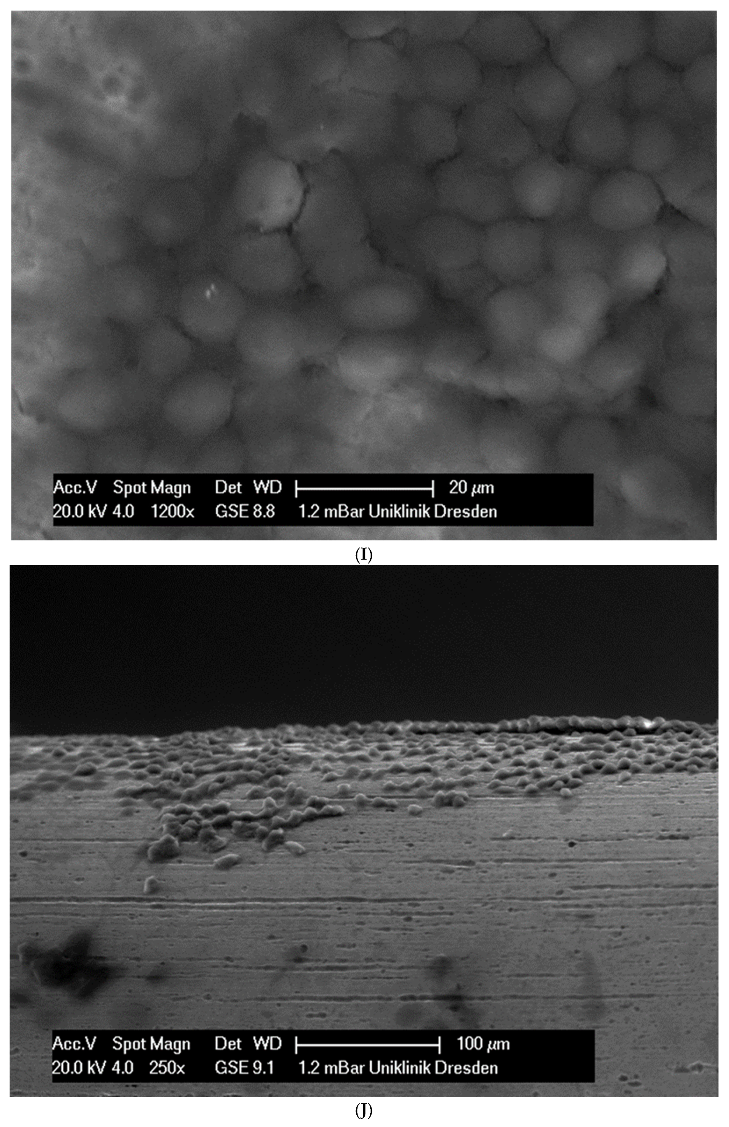 Applsci 14 09679 g002e