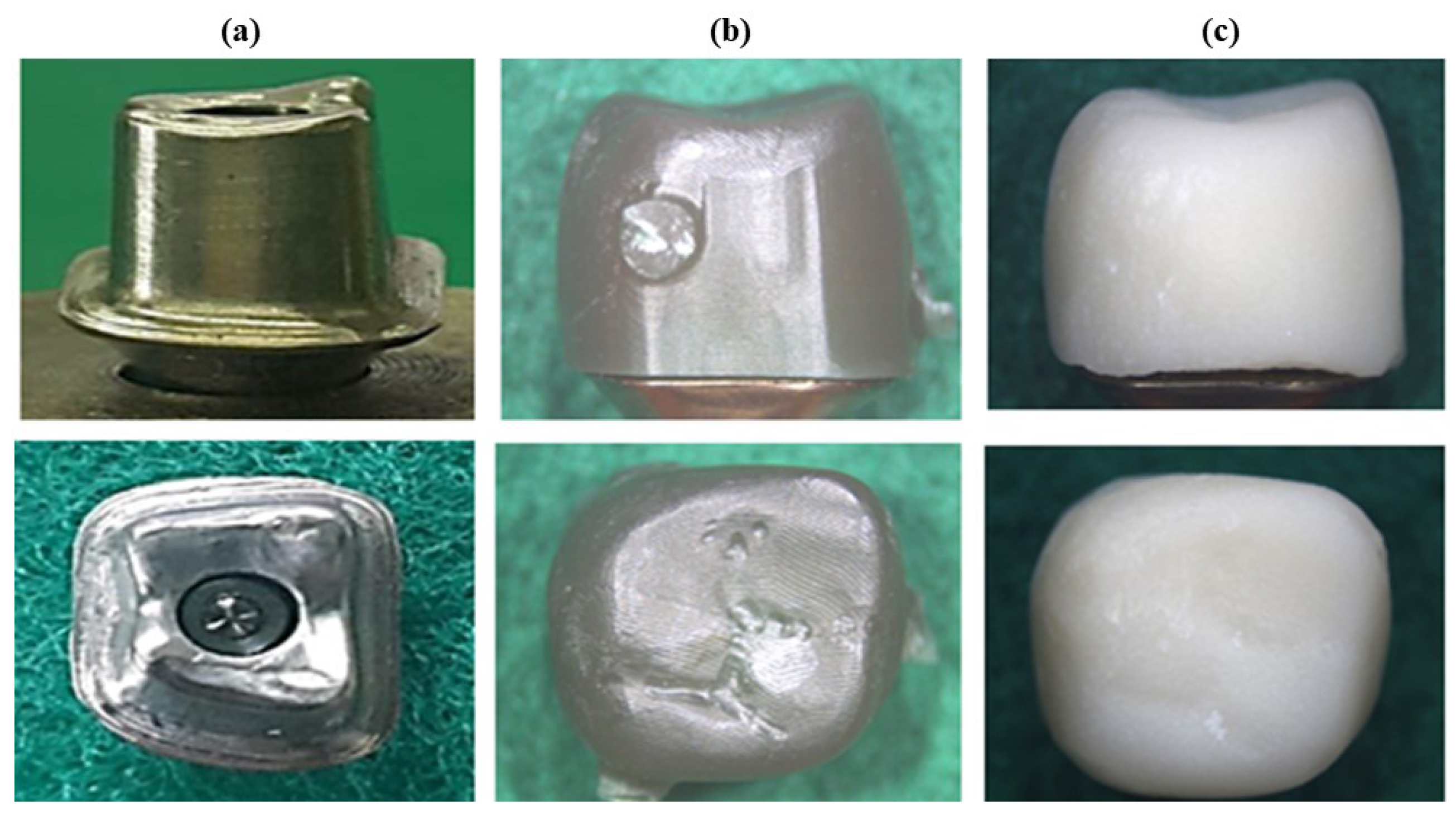 Applsci 14 09682 g001