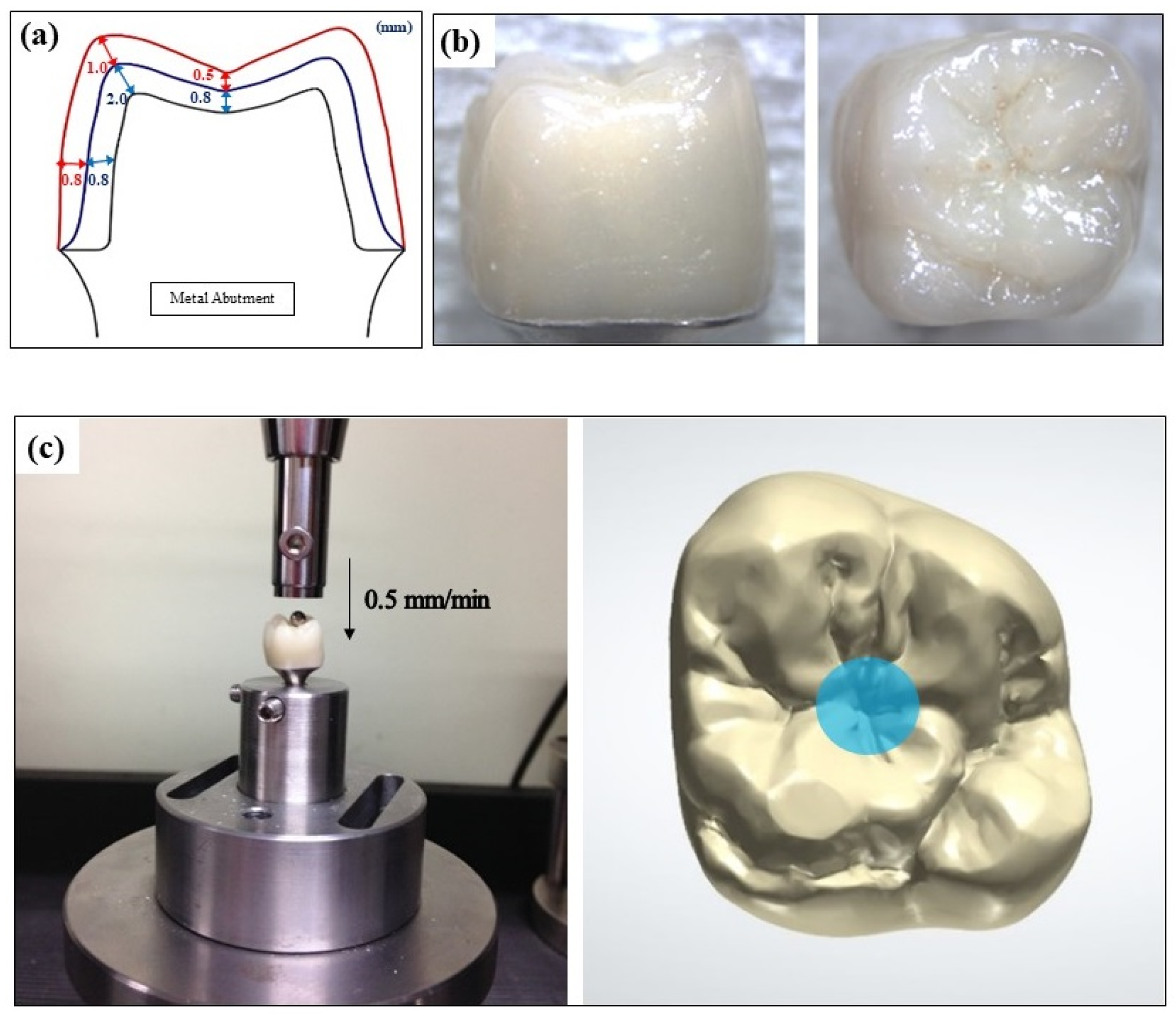 Applsci 14 09682 g002