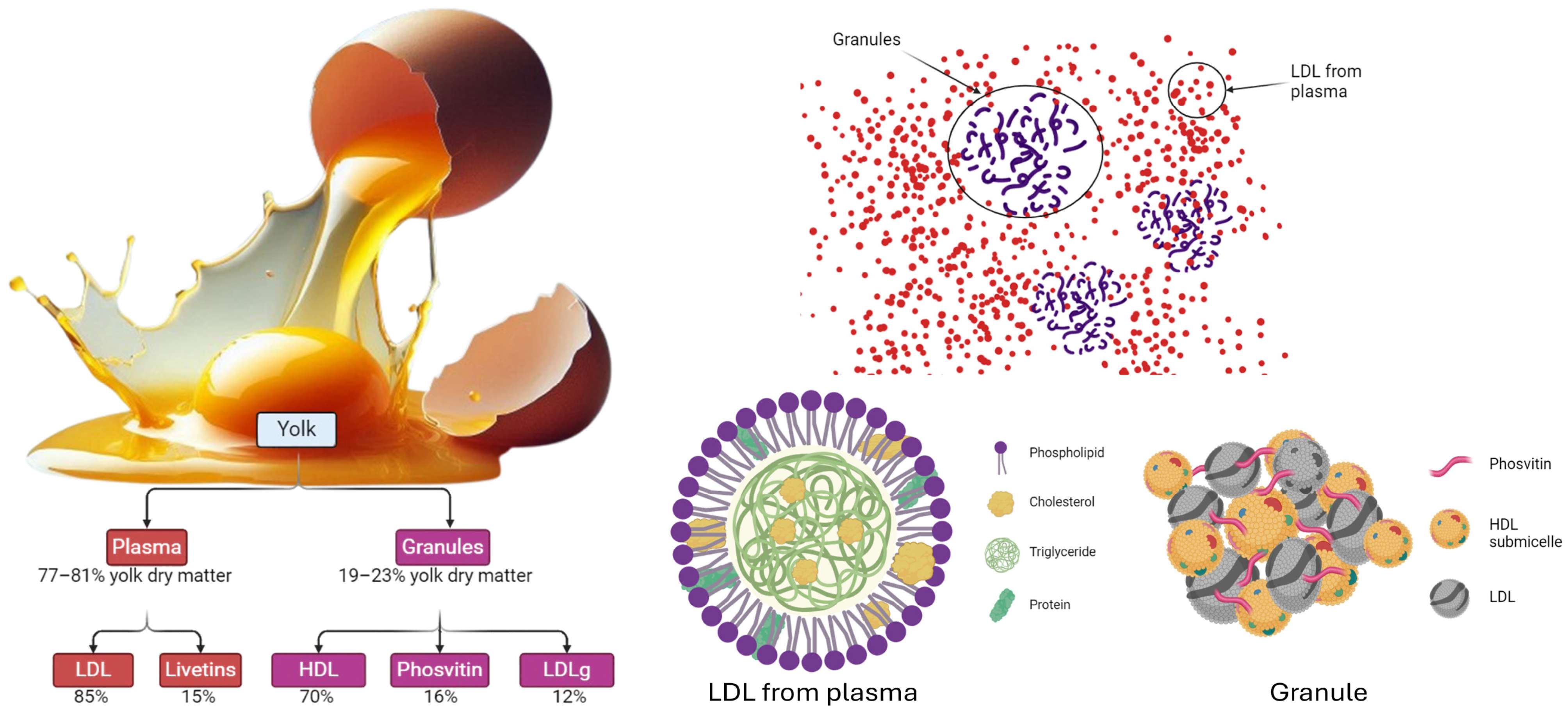Applsci 14 09692 g002