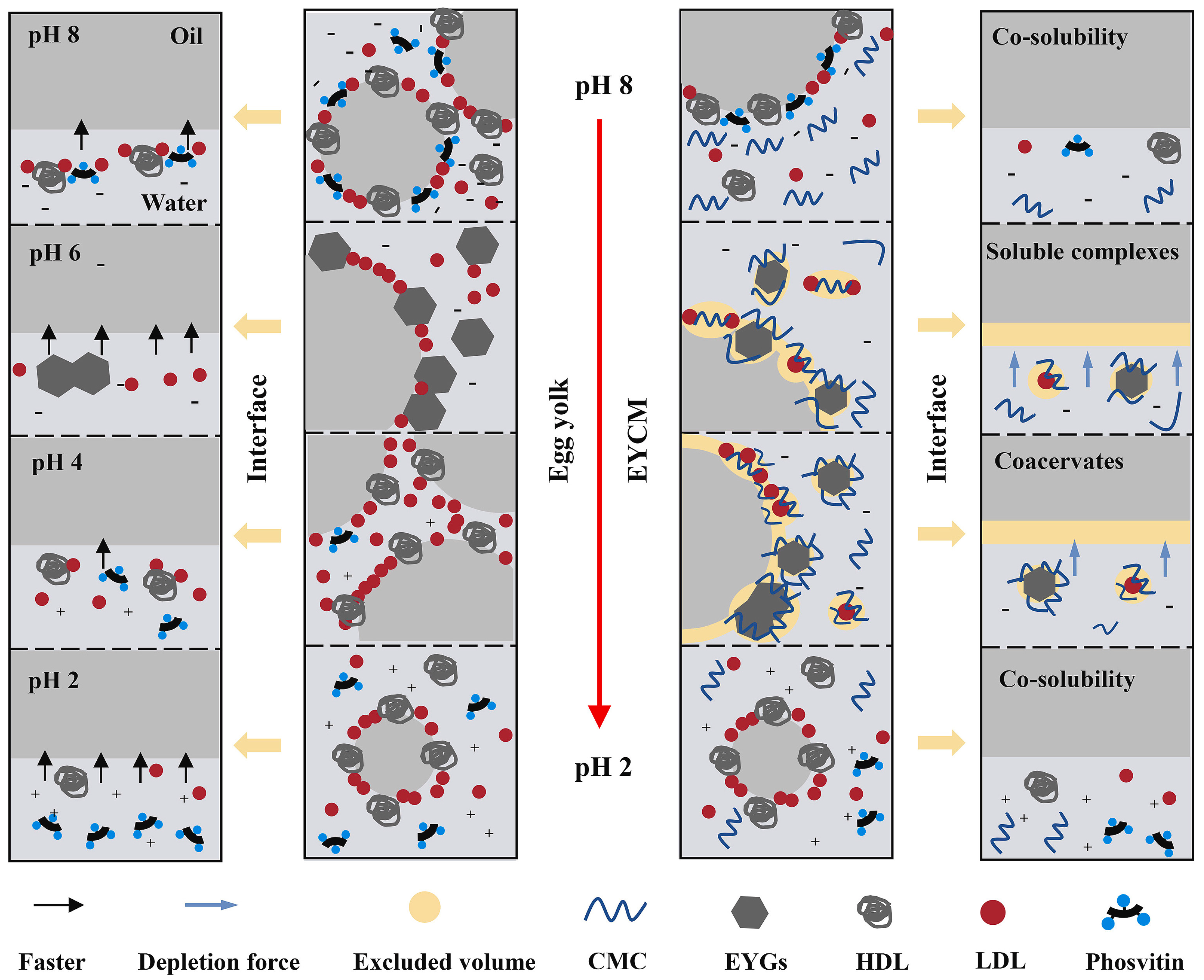 Applsci 14 09692 g005