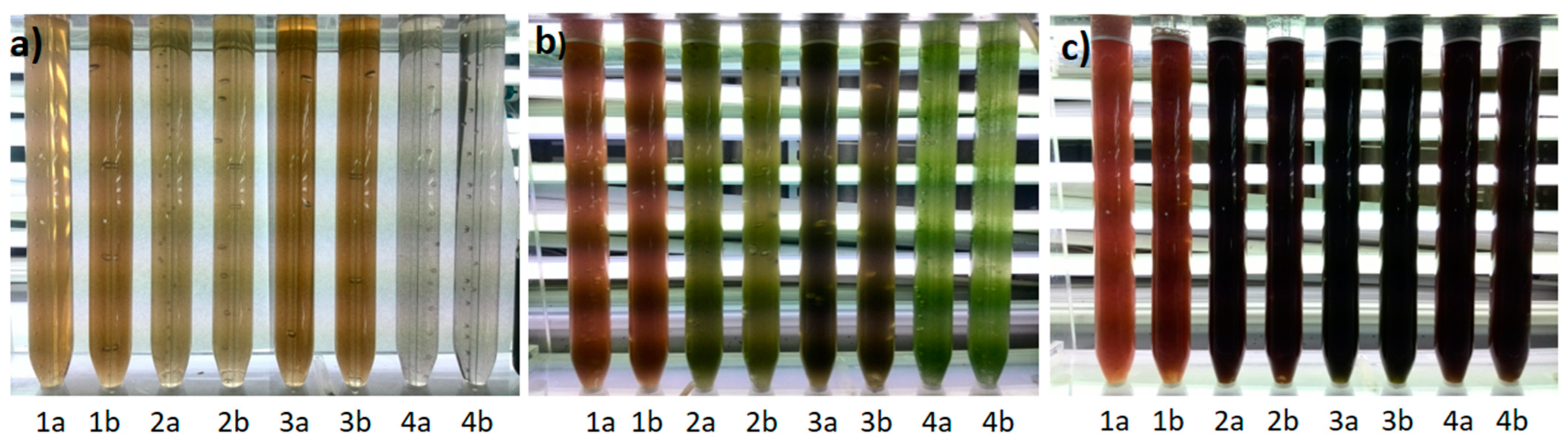 Applsci 14 09704 g003 Applsci 14 09704 g003