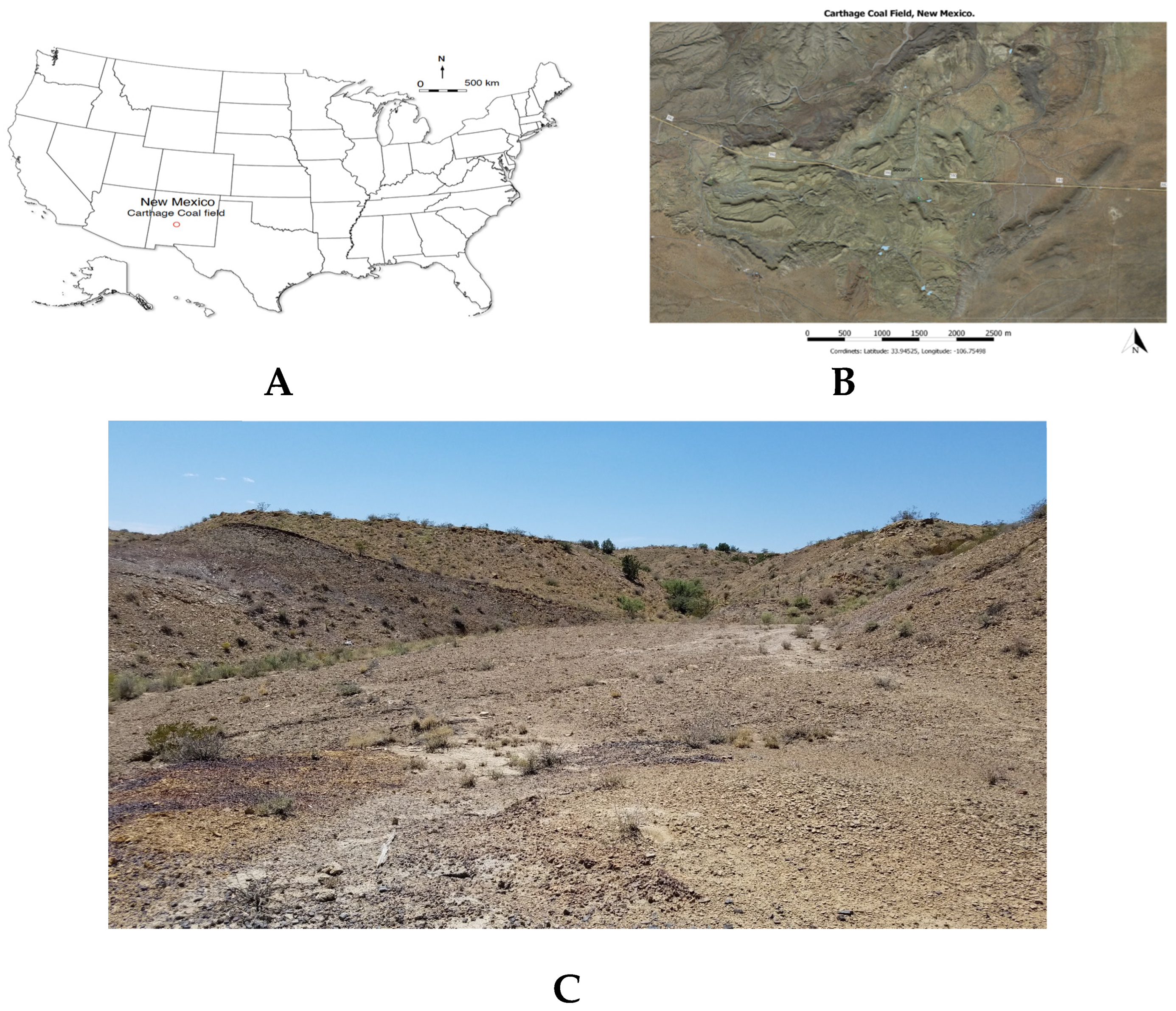 Applsci 14 09723 g001