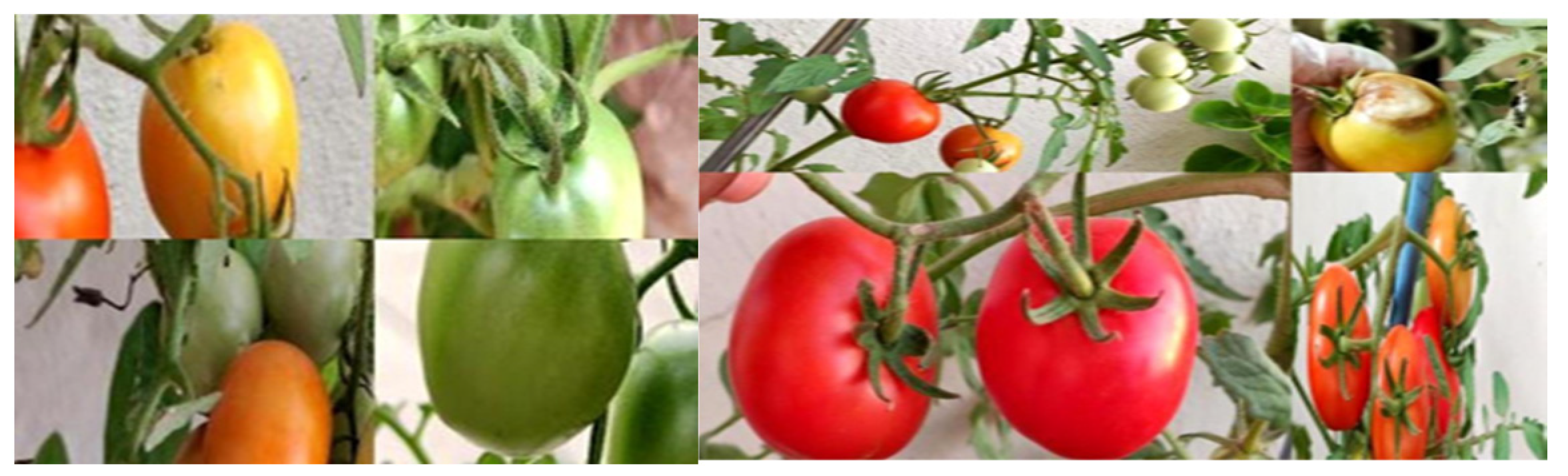 Applsci 14 09727 g006