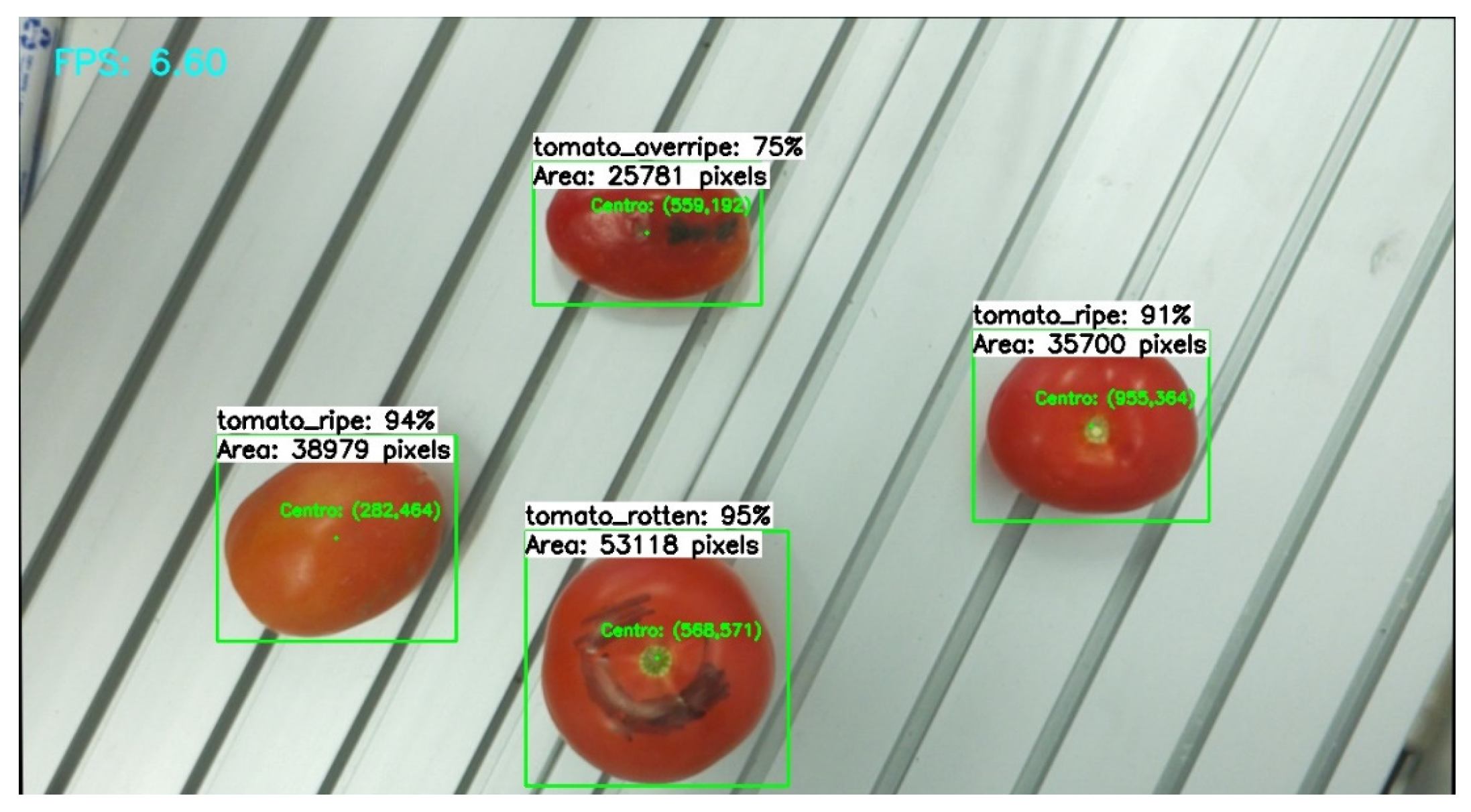 Applsci 14 09727 g019