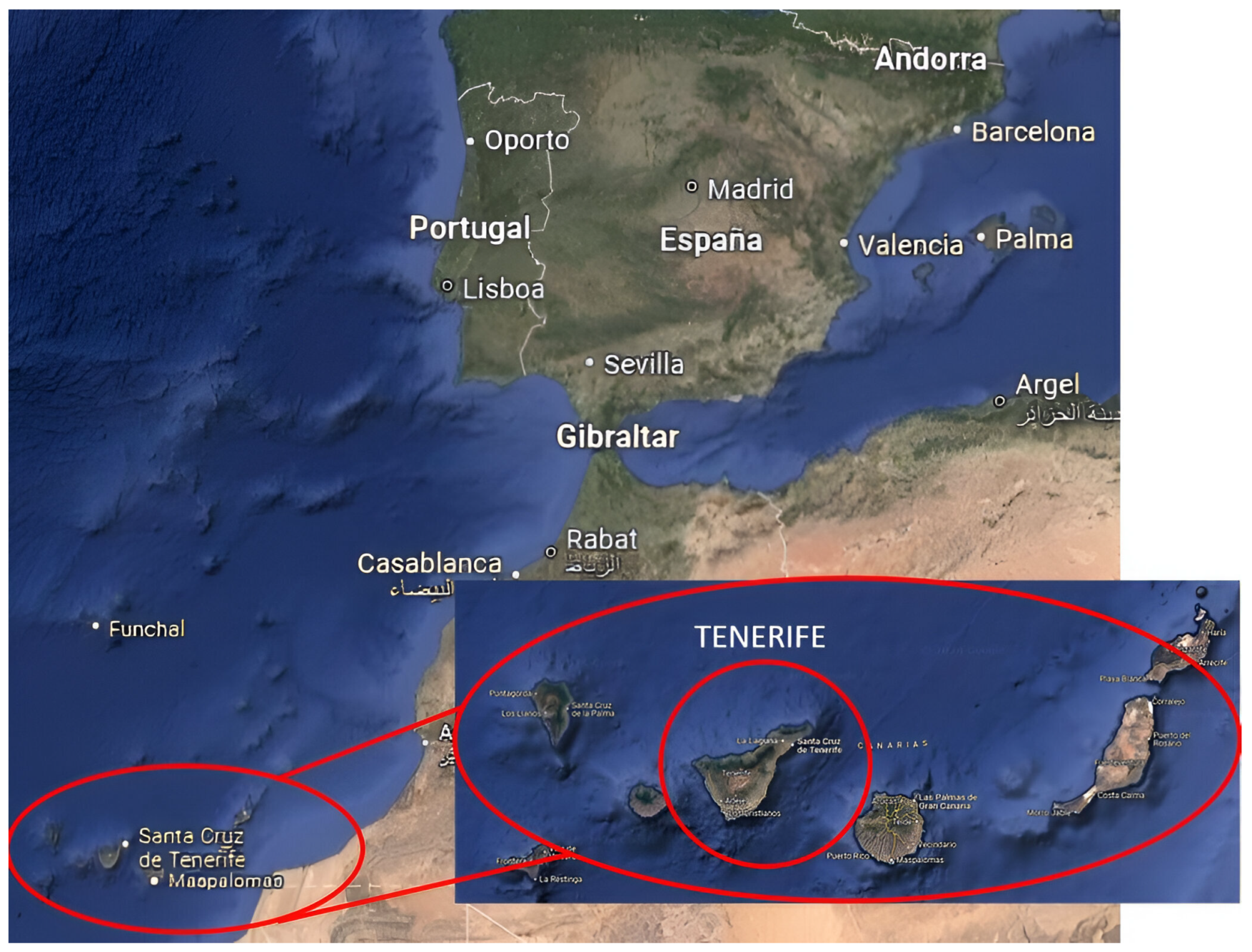 Applsci 14 09734 g001