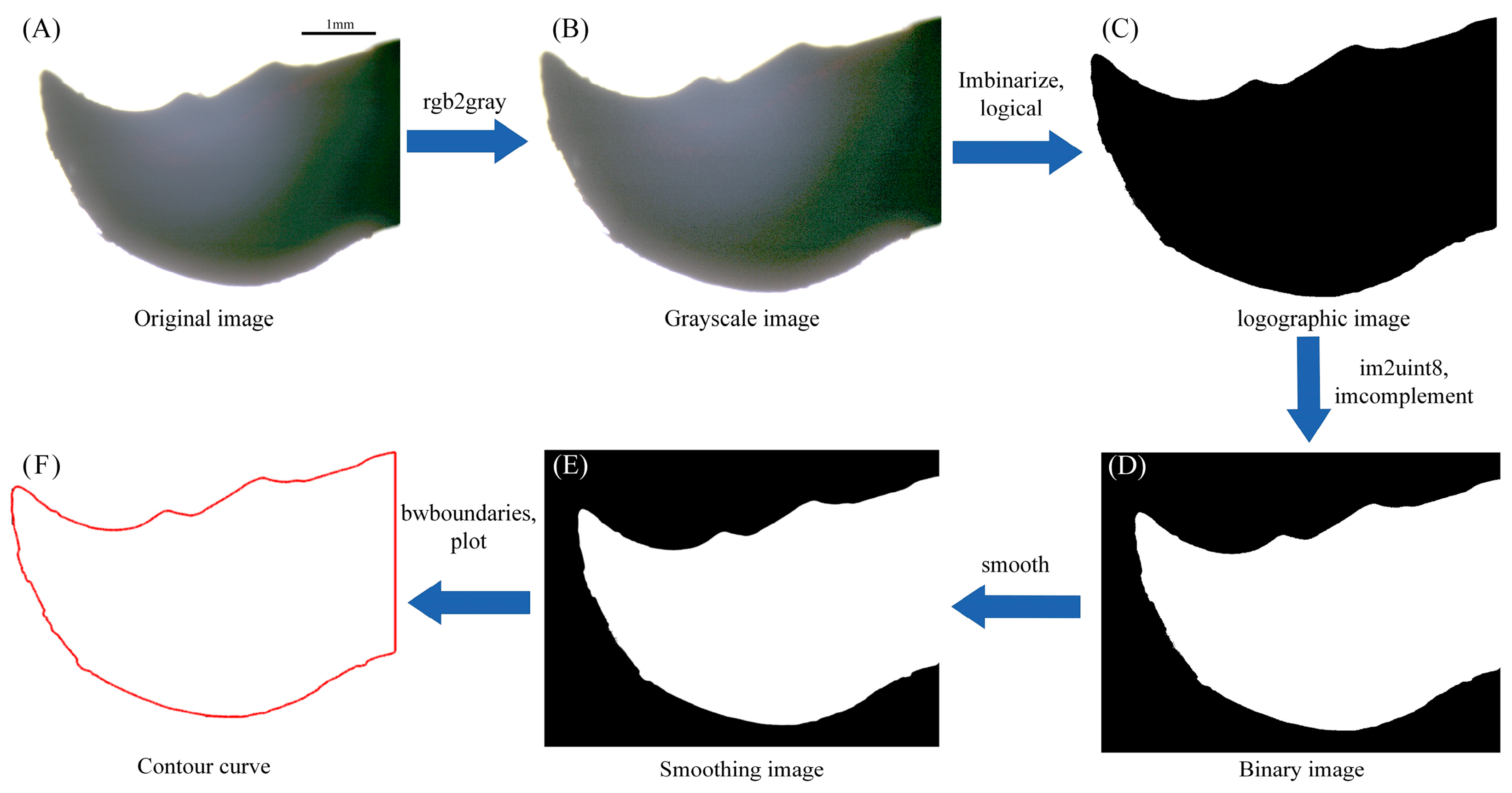 Applsci 14 09763 g002