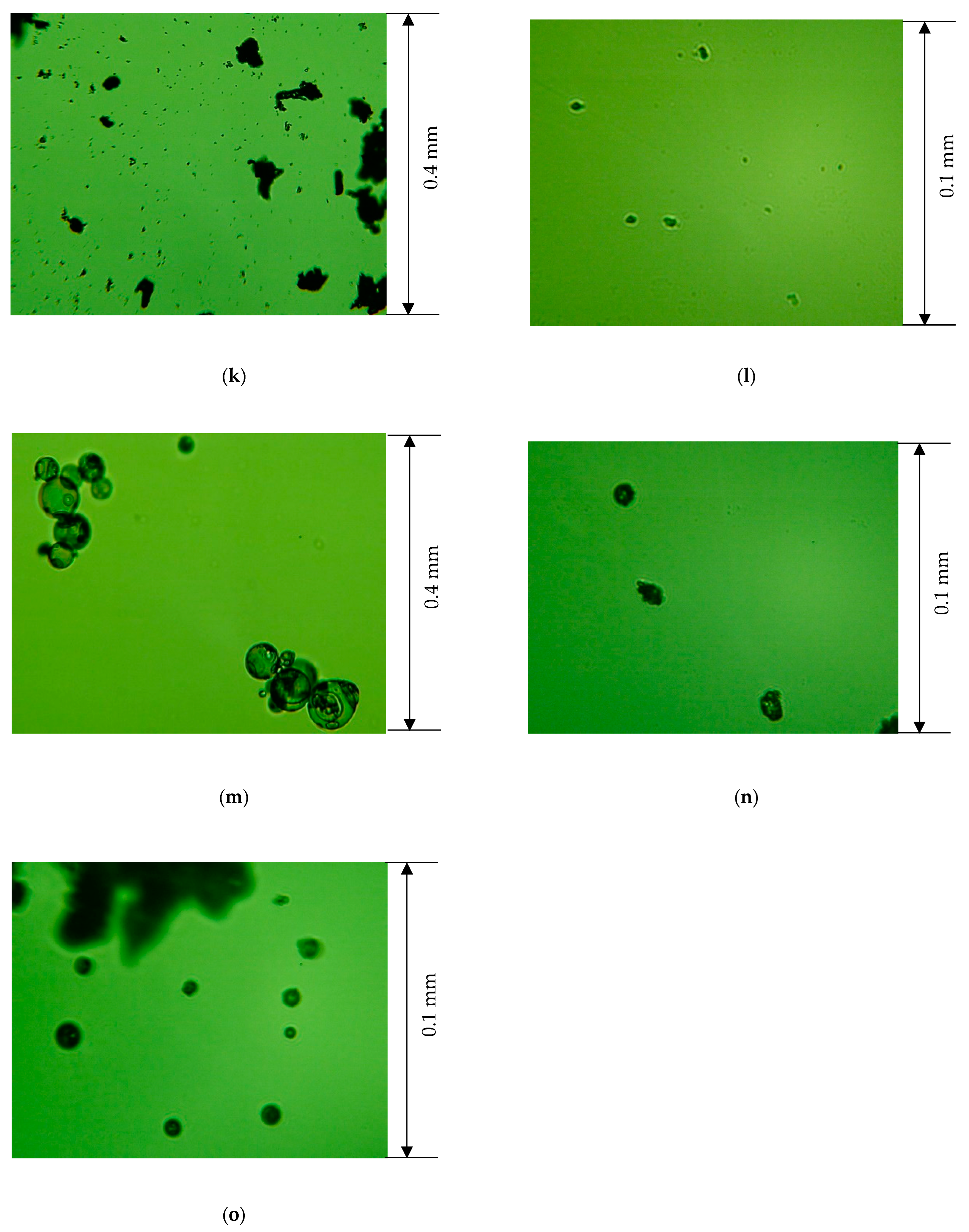 Applsci 14 09765 g001c