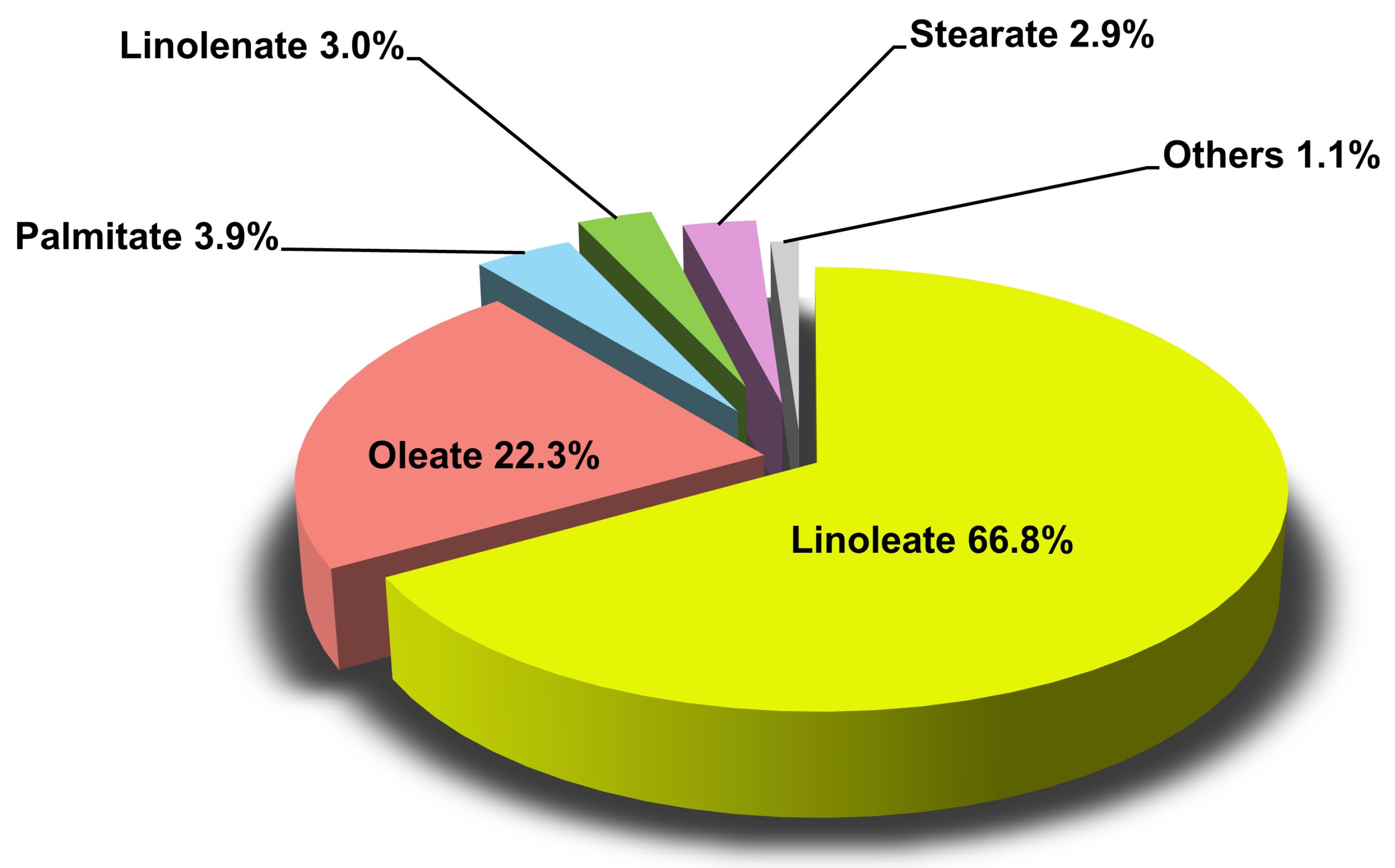 Applsci 14 09767 g002