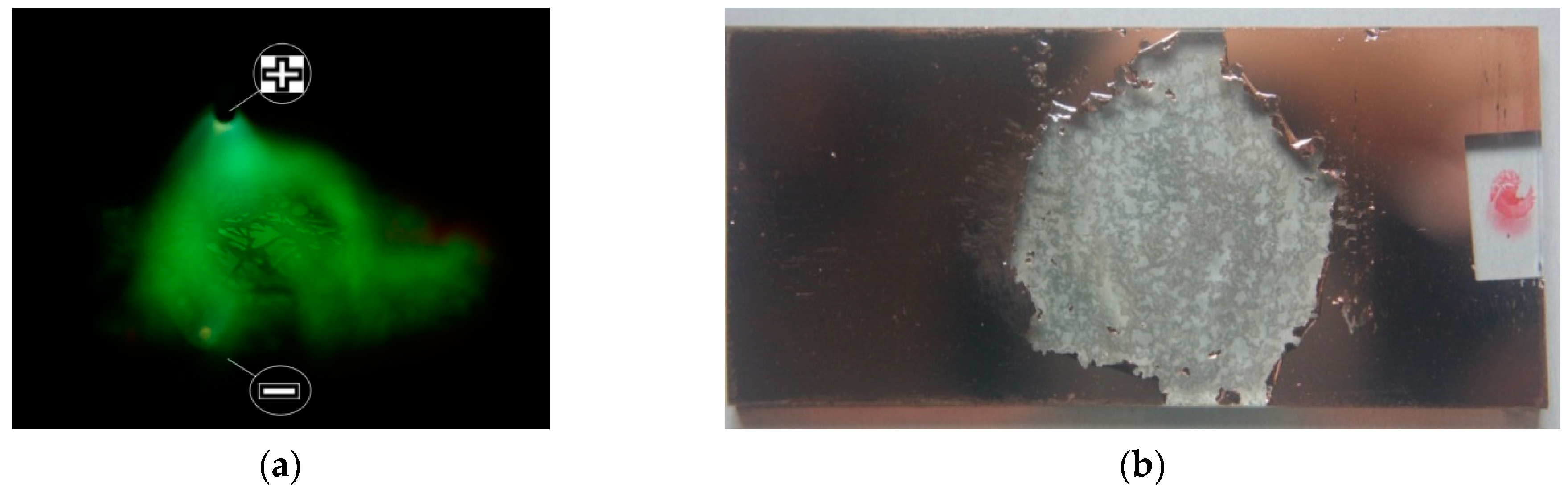 Applsci 14 09774 g002