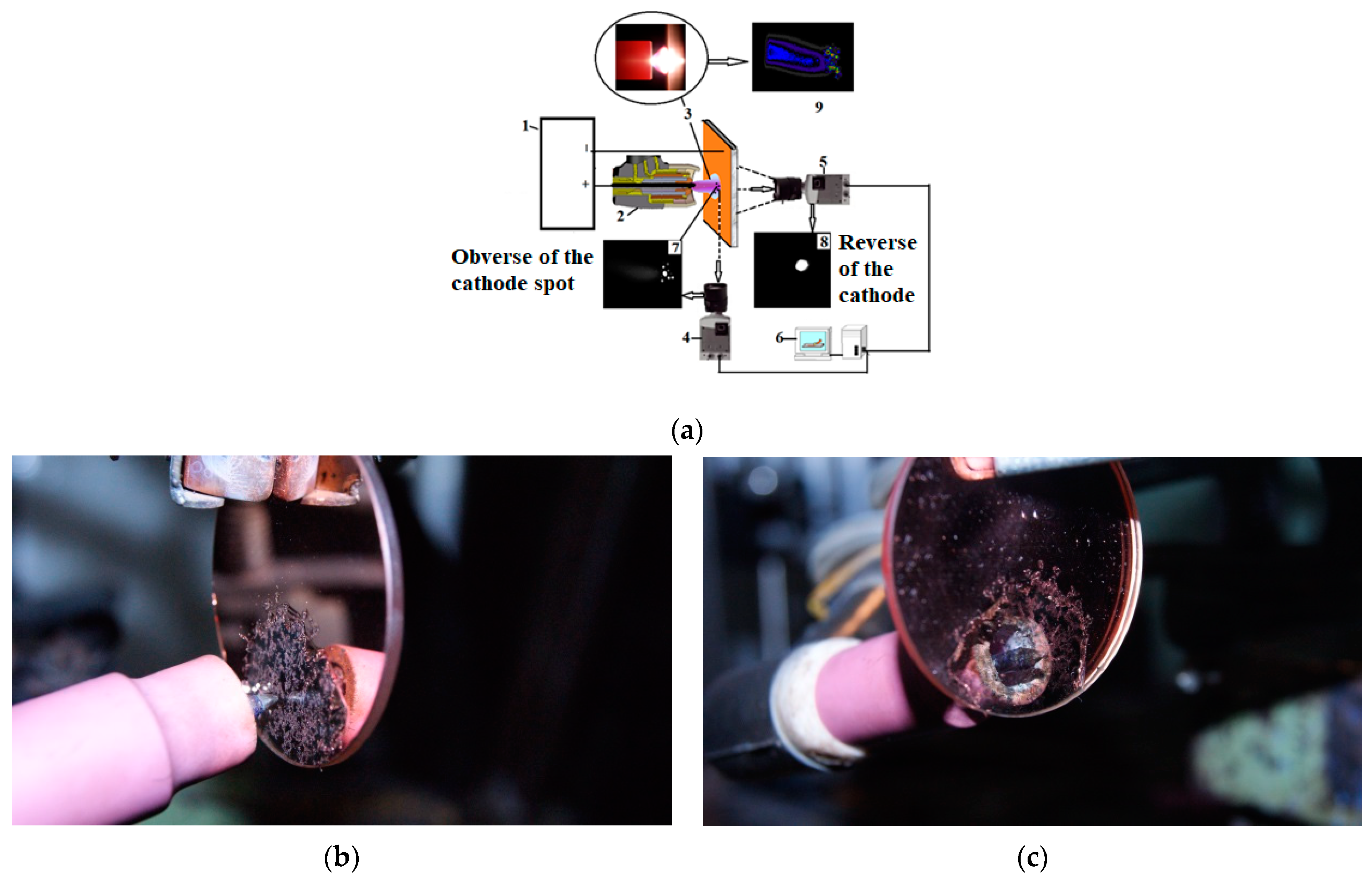 Applsci 14 09774 g003