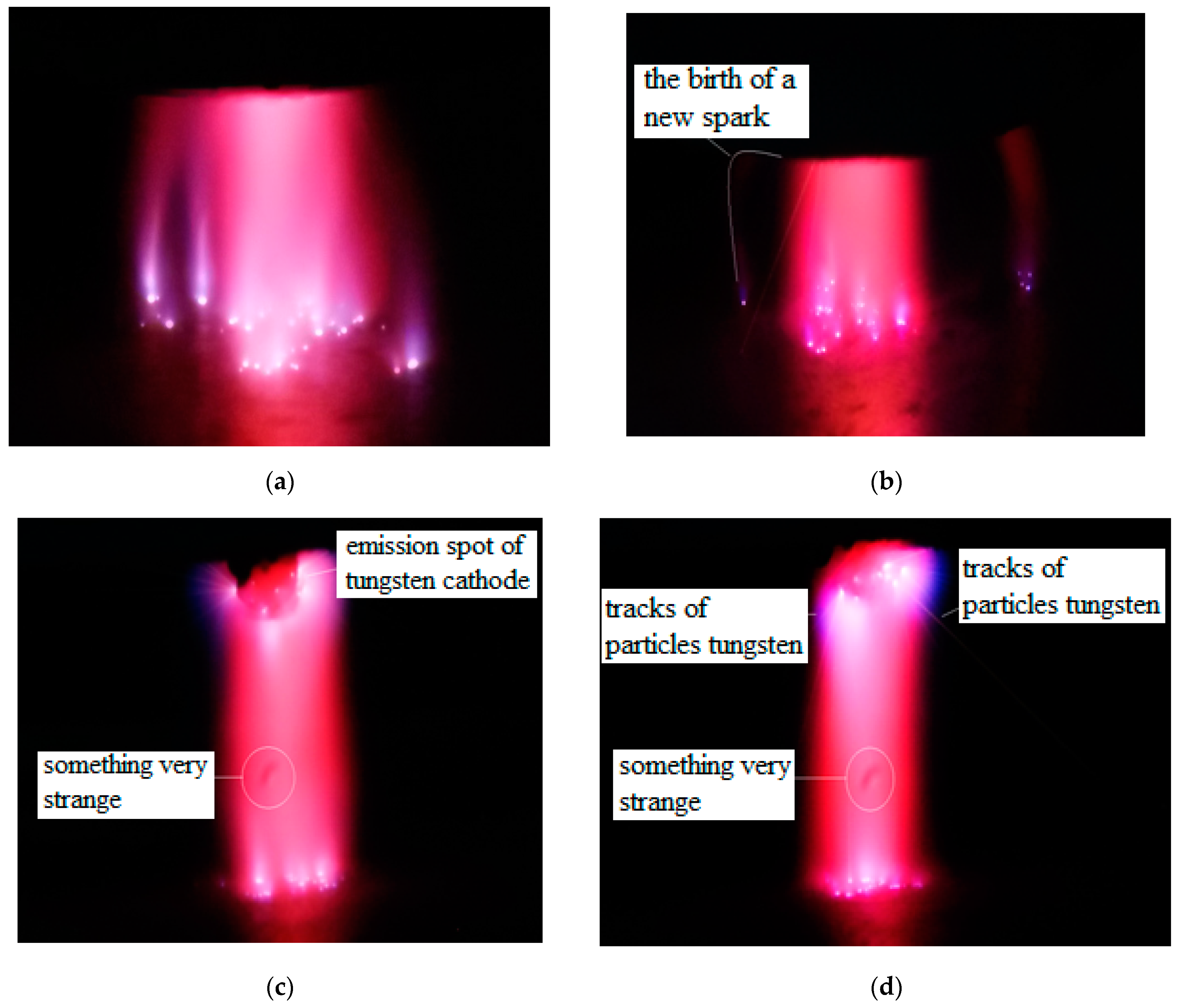 Applsci 14 09774 g006