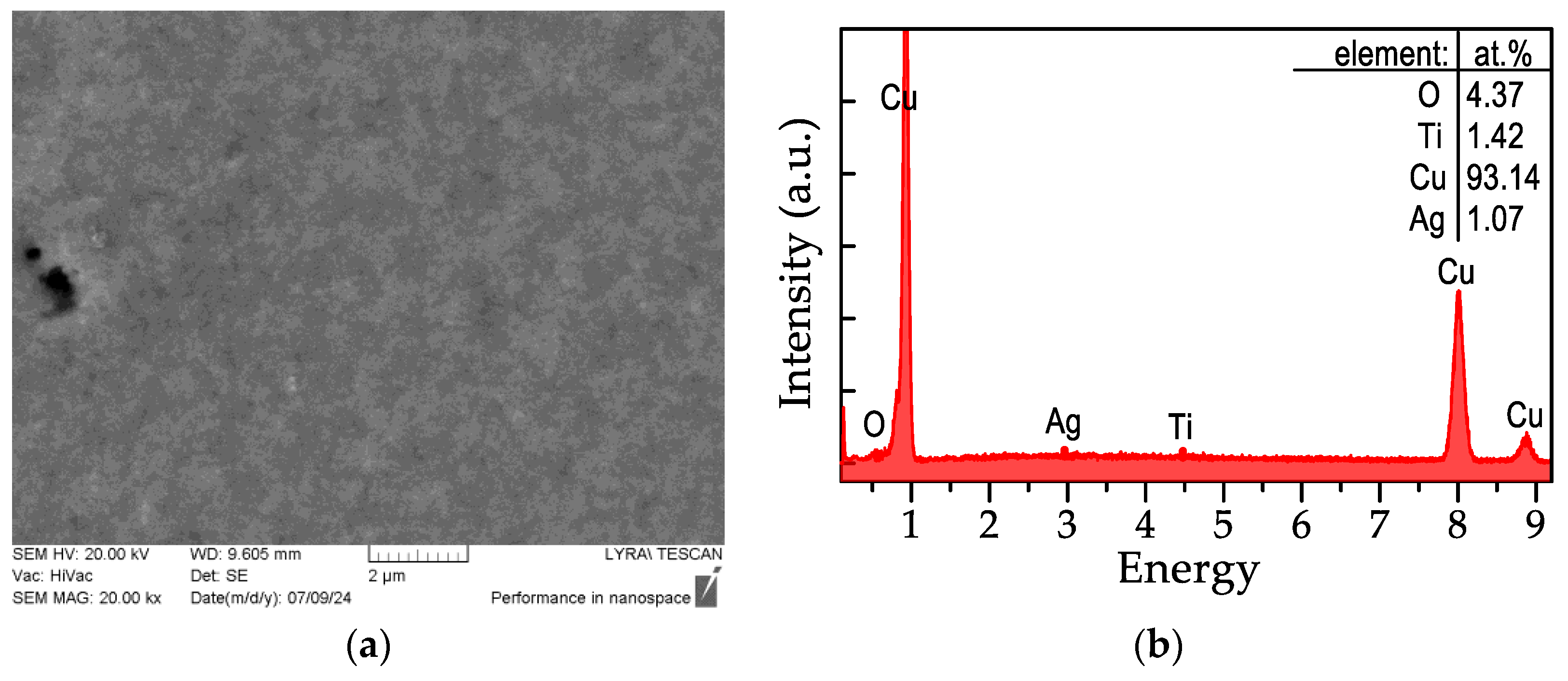 Applsci 14 09780 g010