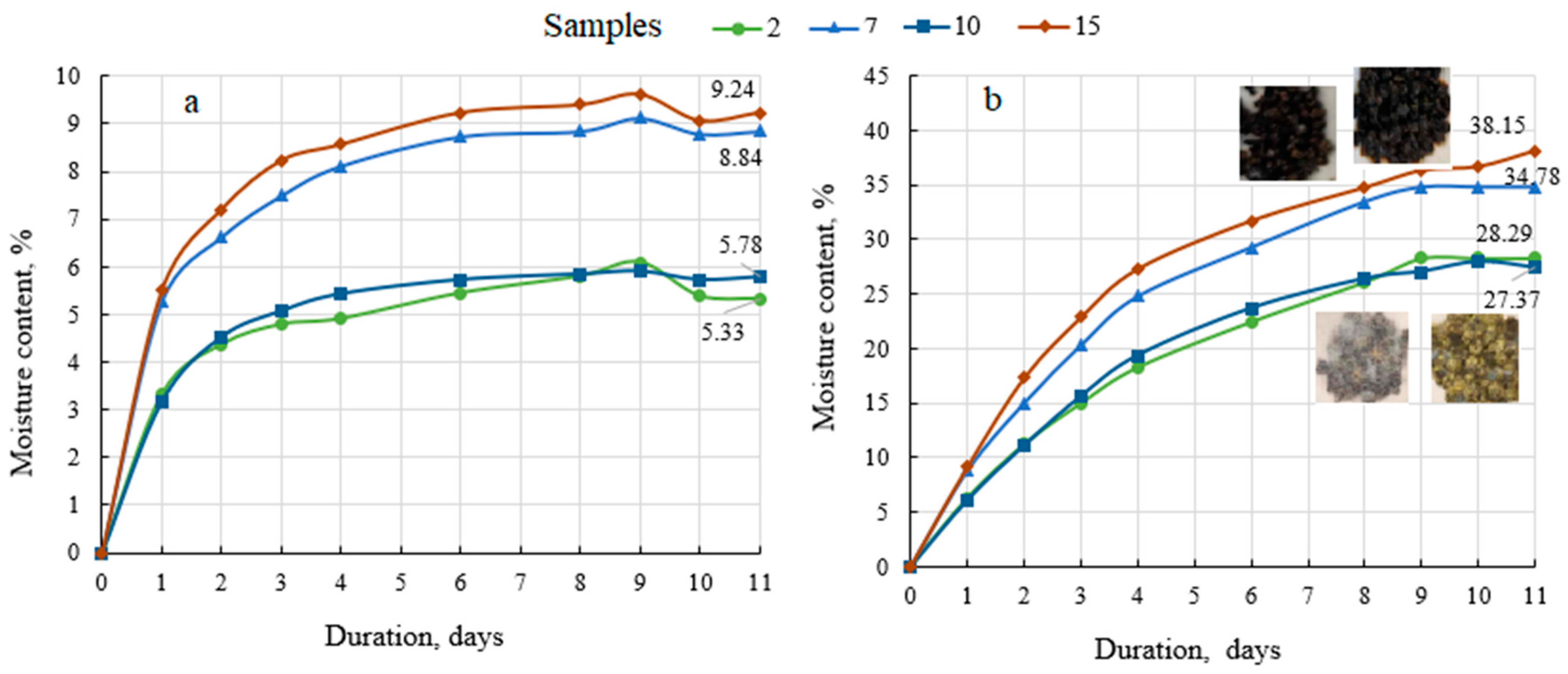 Applsci 14 09784 g004