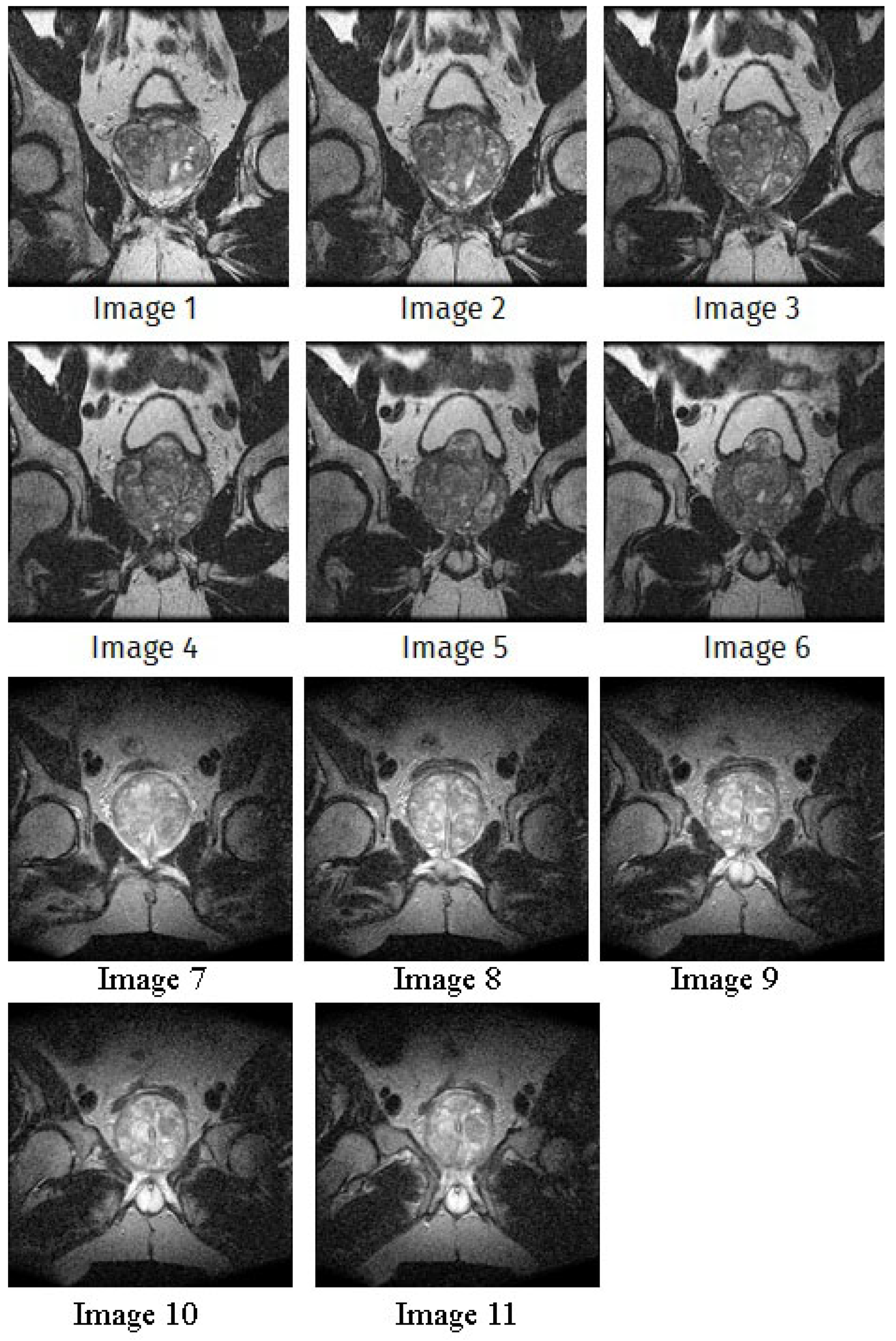 Applsci 14 09785 g004