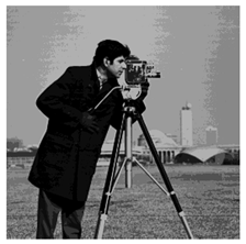 Applsci 14 09785 i004