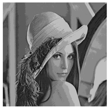 Applsci 14 09785 i008