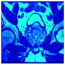 Applsci 14 09785 i0102