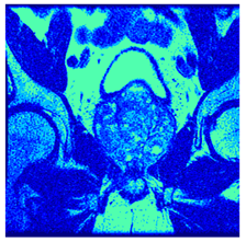 Applsci 14 09785 i0103