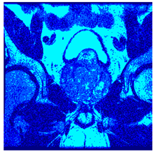 Applsci 14 09785 i0105