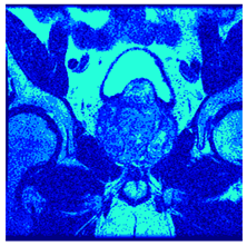 Applsci 14 09785 i0106