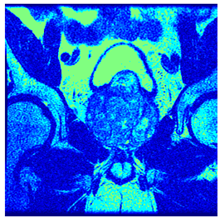 Applsci 14 09785 i0108