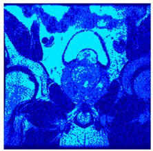 Applsci 14 09785 i0109