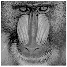 Applsci 14 09785 i011