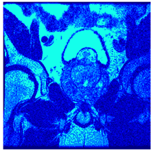 Applsci 14 09785 i0111