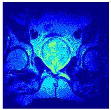 Applsci 14 09785 i0114