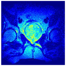 Applsci 14 09785 i0115