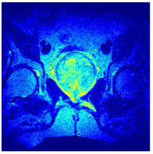 Applsci 14 09785 i0116